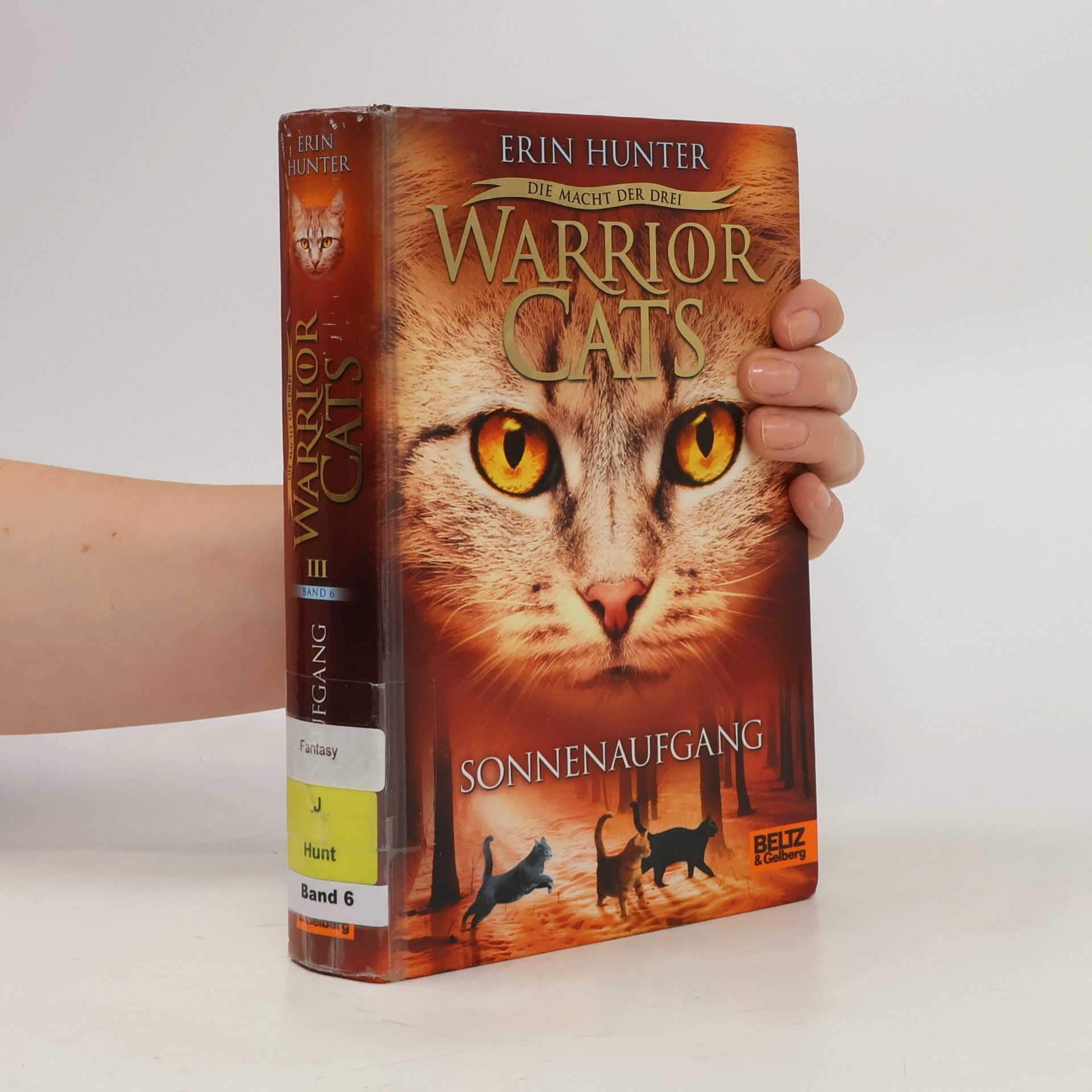 Erin Hunter Warrior Cats. Sonnenaufgang