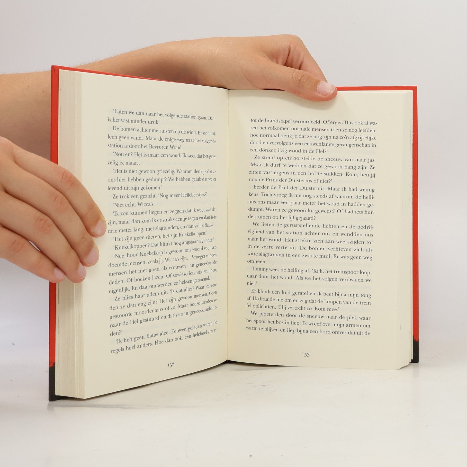 Marce Noordenbos The D'Evil Diaries