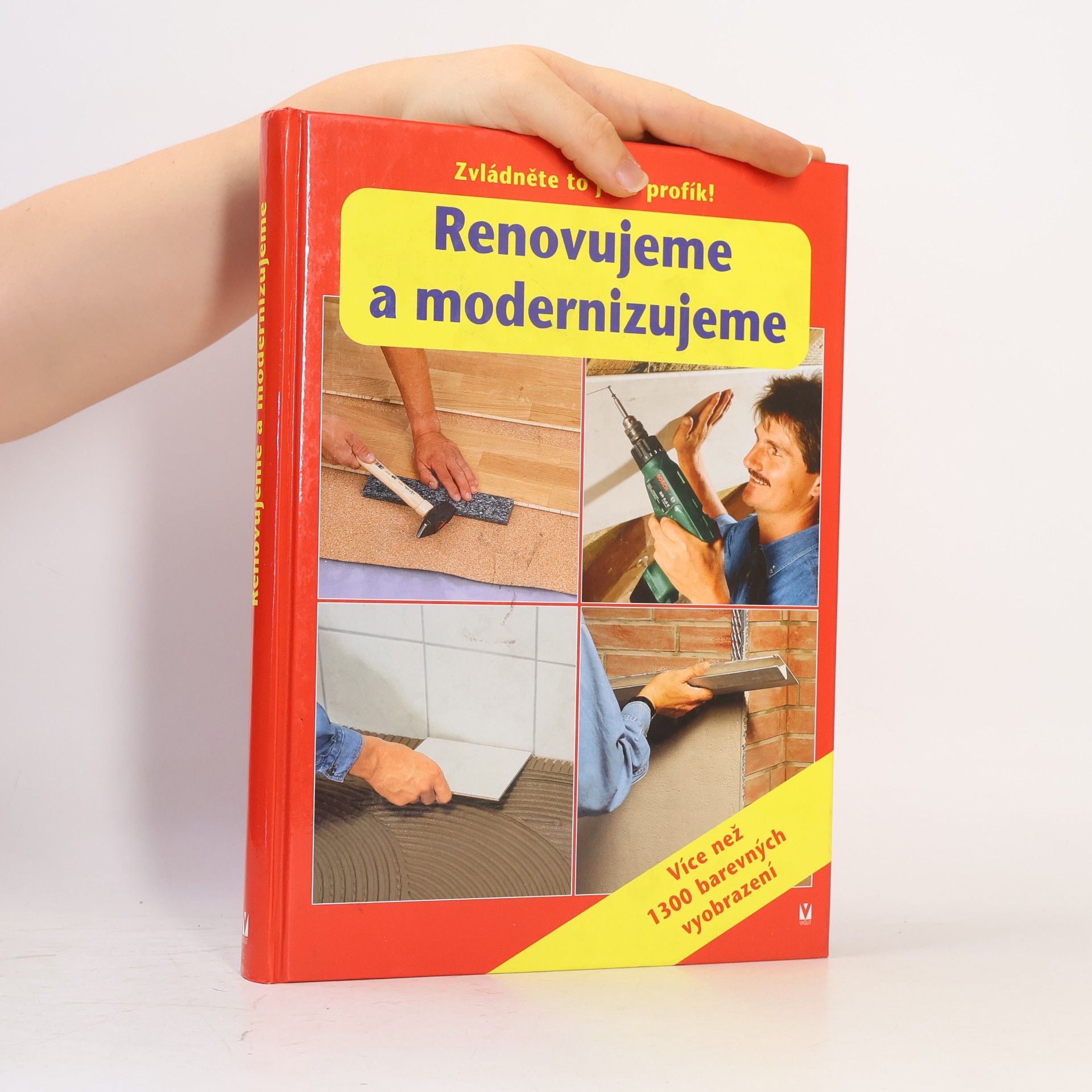 Kolektiv autorů Renovujeme a modernizujeme