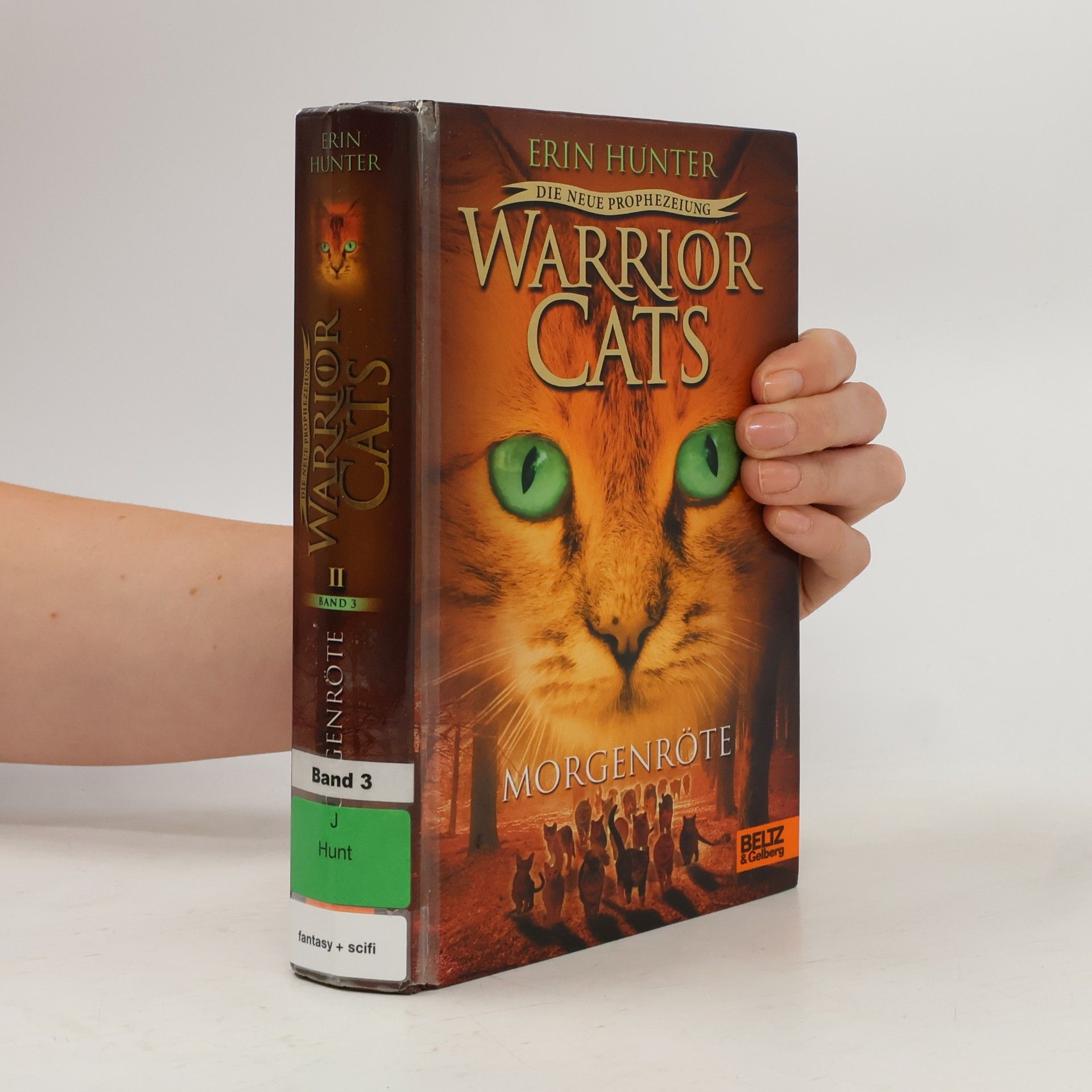 Erin Hunter Warrior Cats 3
