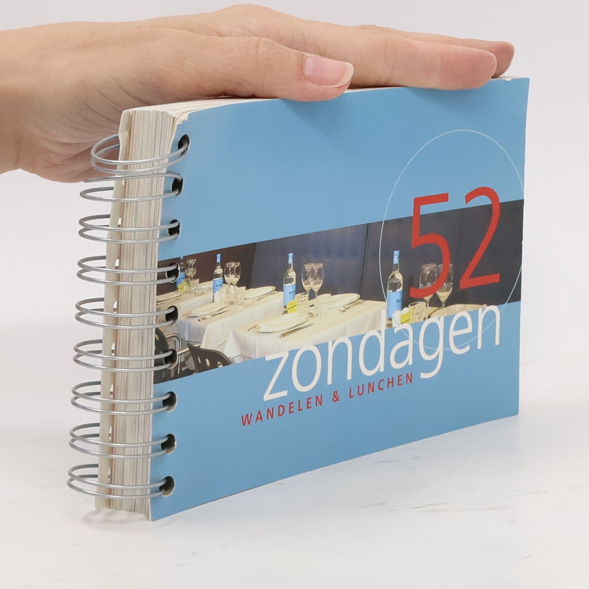 Ellie Brik 52 zondagen wandelen en lunchen