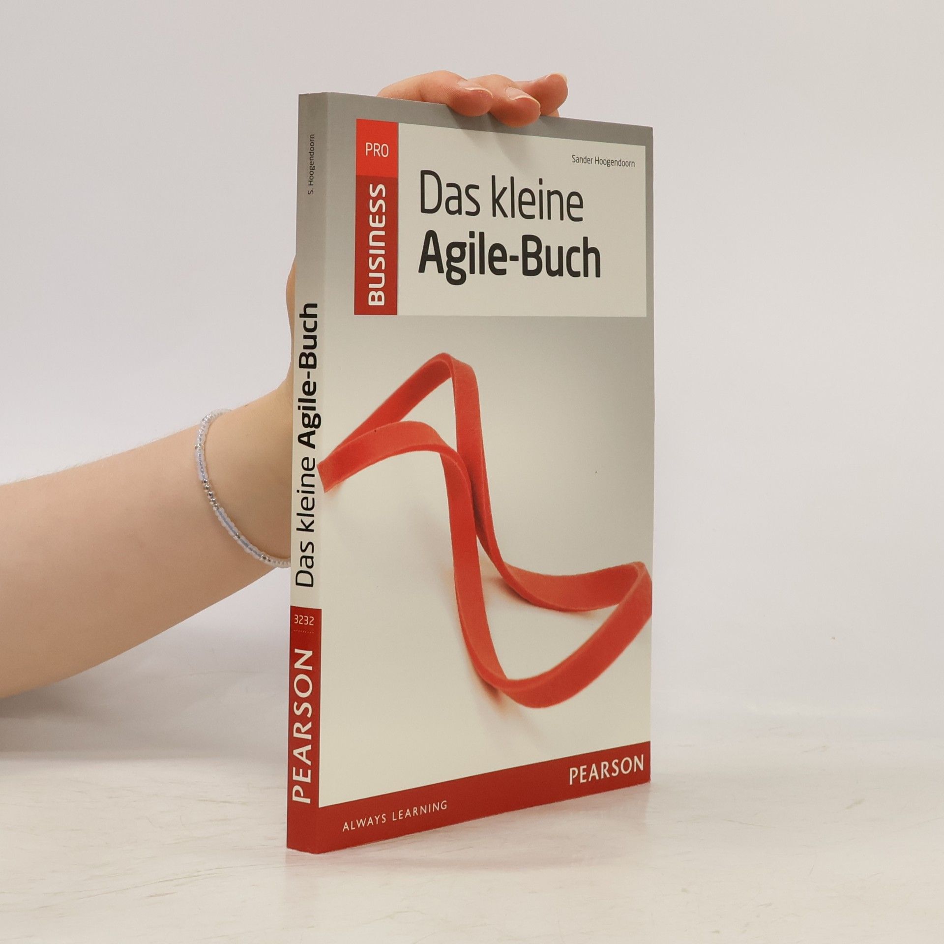 Sander Hoogendoorn Das kleine Agile-Buch