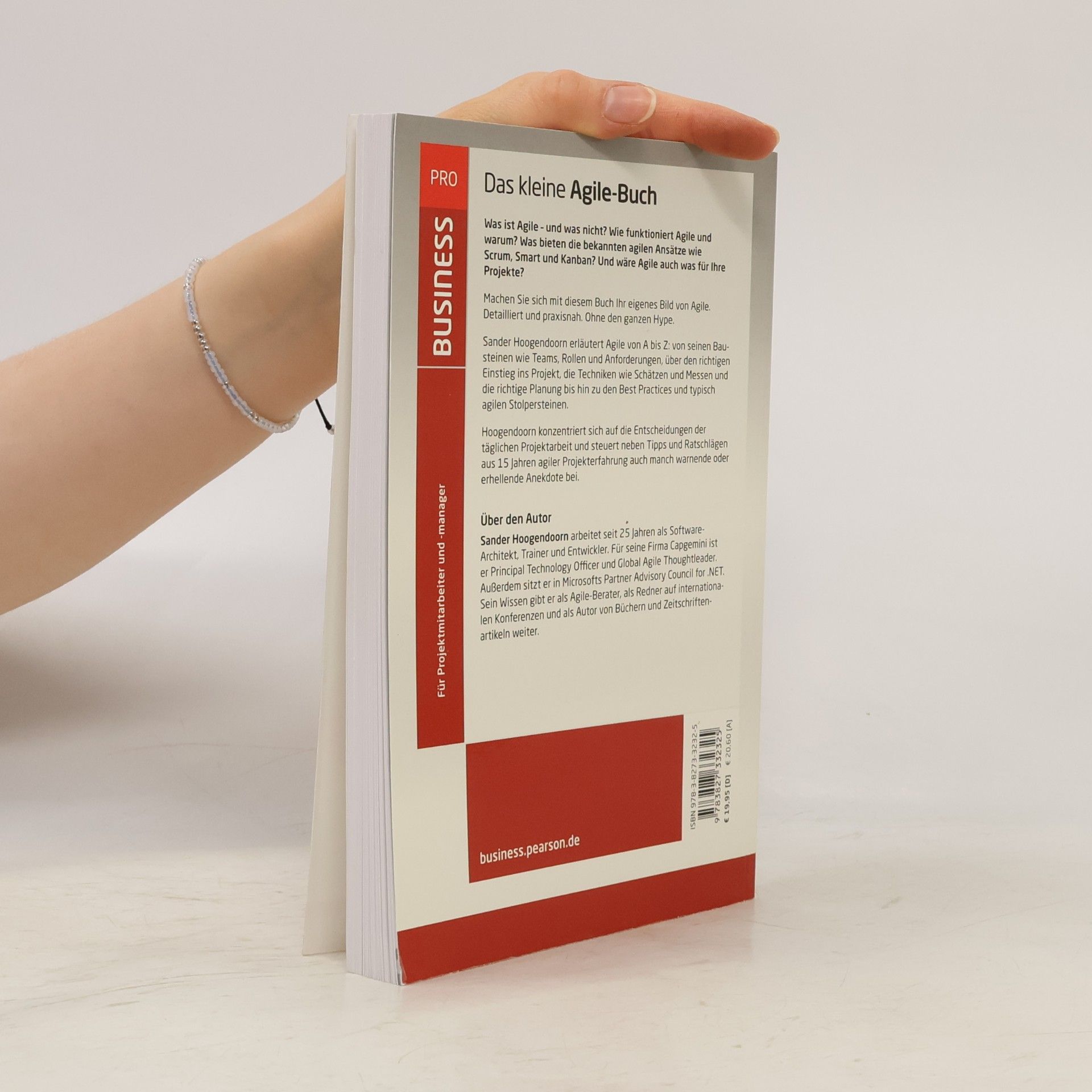 Sander Hoogendoorn Das kleine Agile-Buch