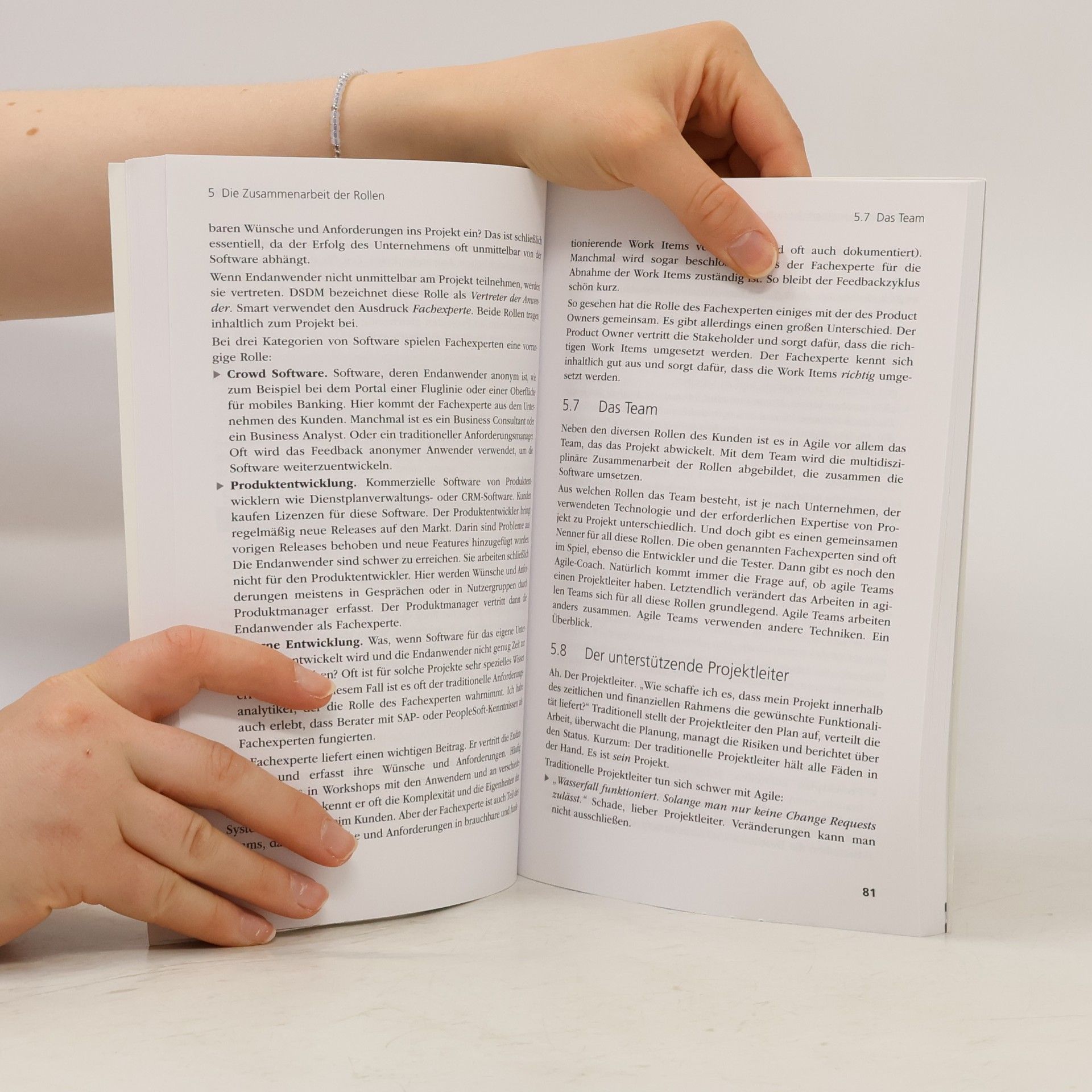 Sander Hoogendoorn Das kleine Agile-Buch