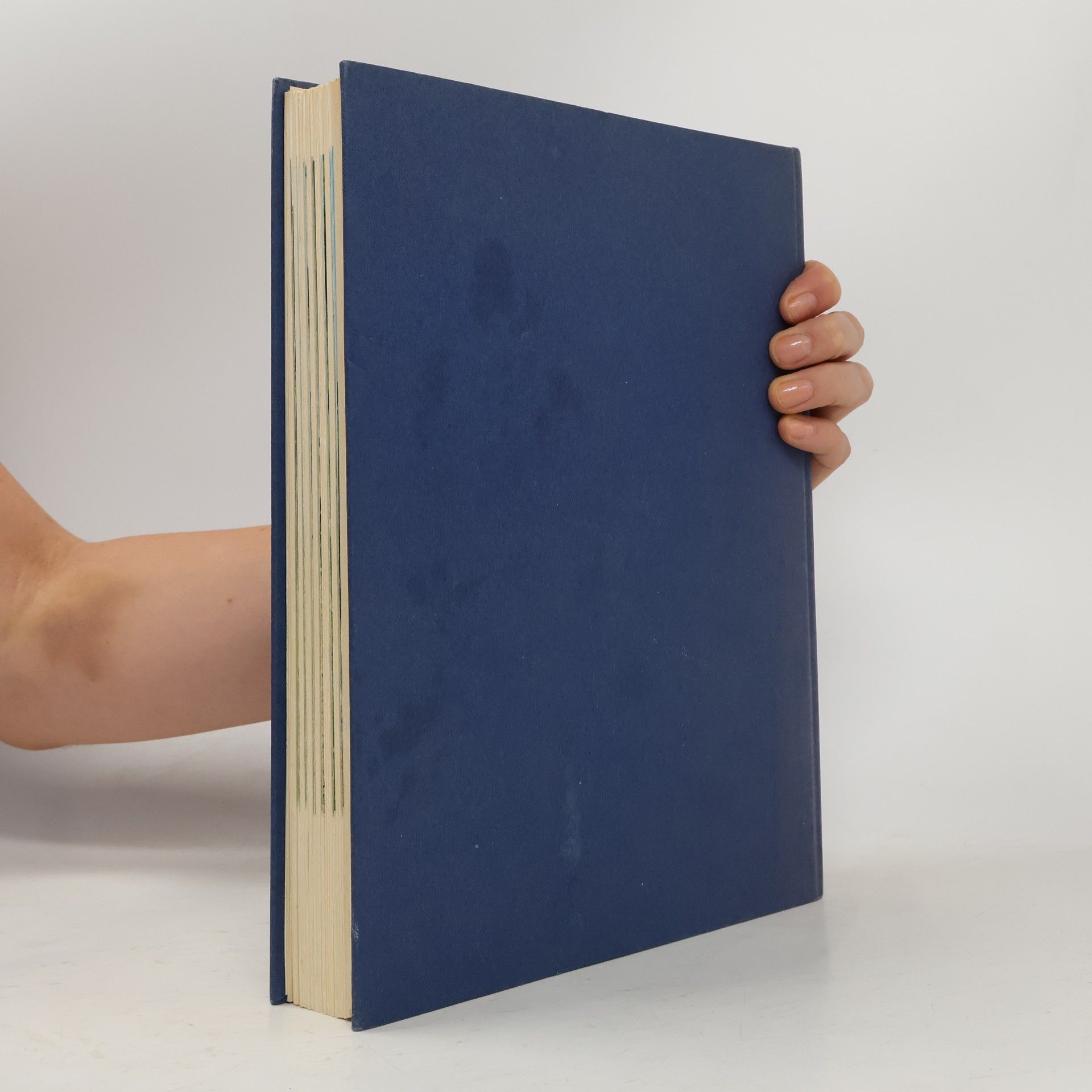 Richard Glyn Das grosse Buch der Pferderassen