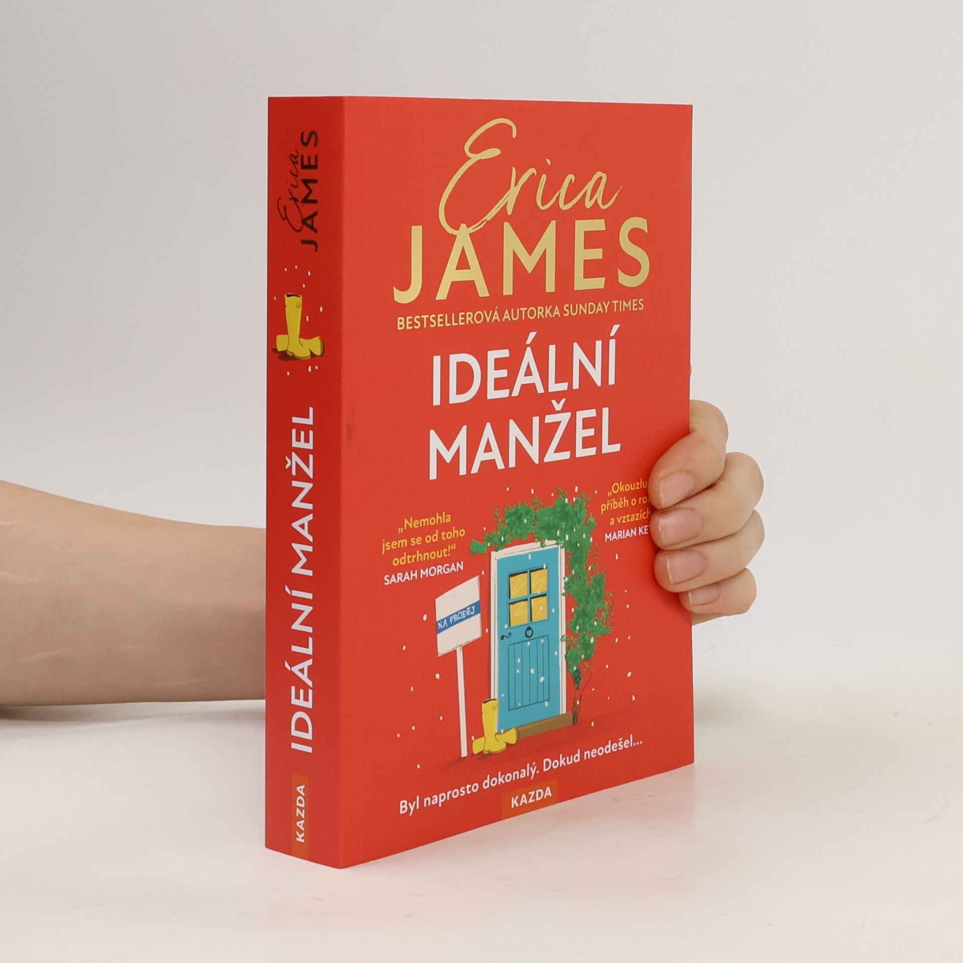 Erica James Ideální manžel