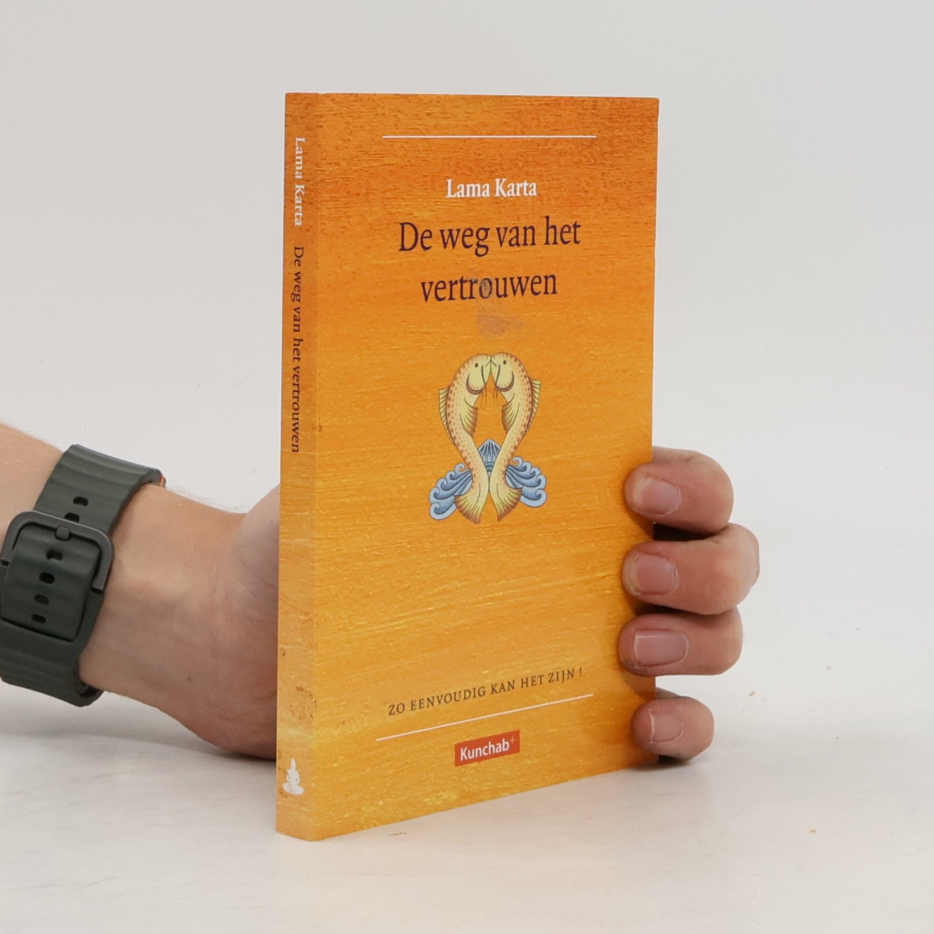 Autores varios De weg van het vertrouwen