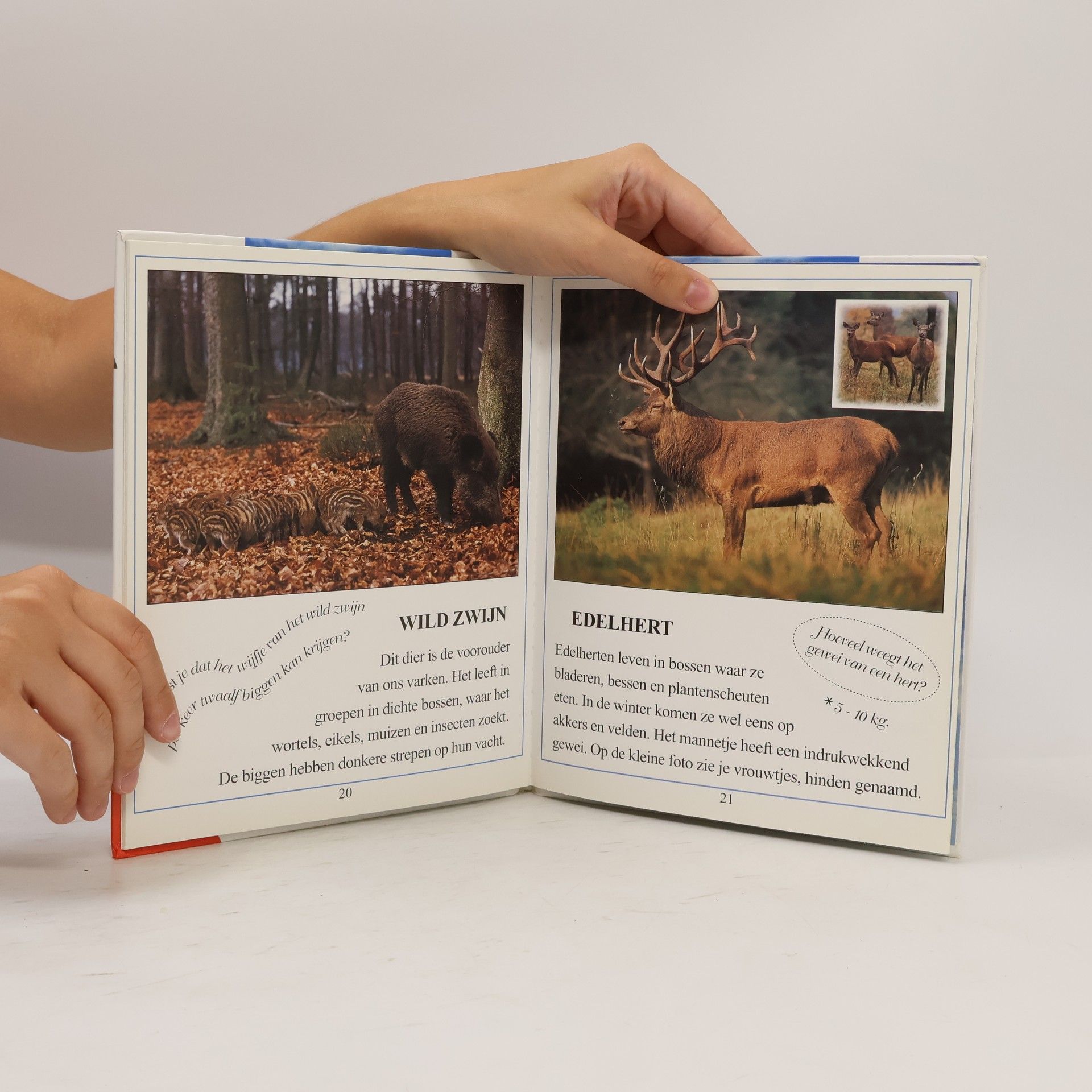 Charles Doché Kijk eens: dieren van bij ons (Wolkjesreeks)