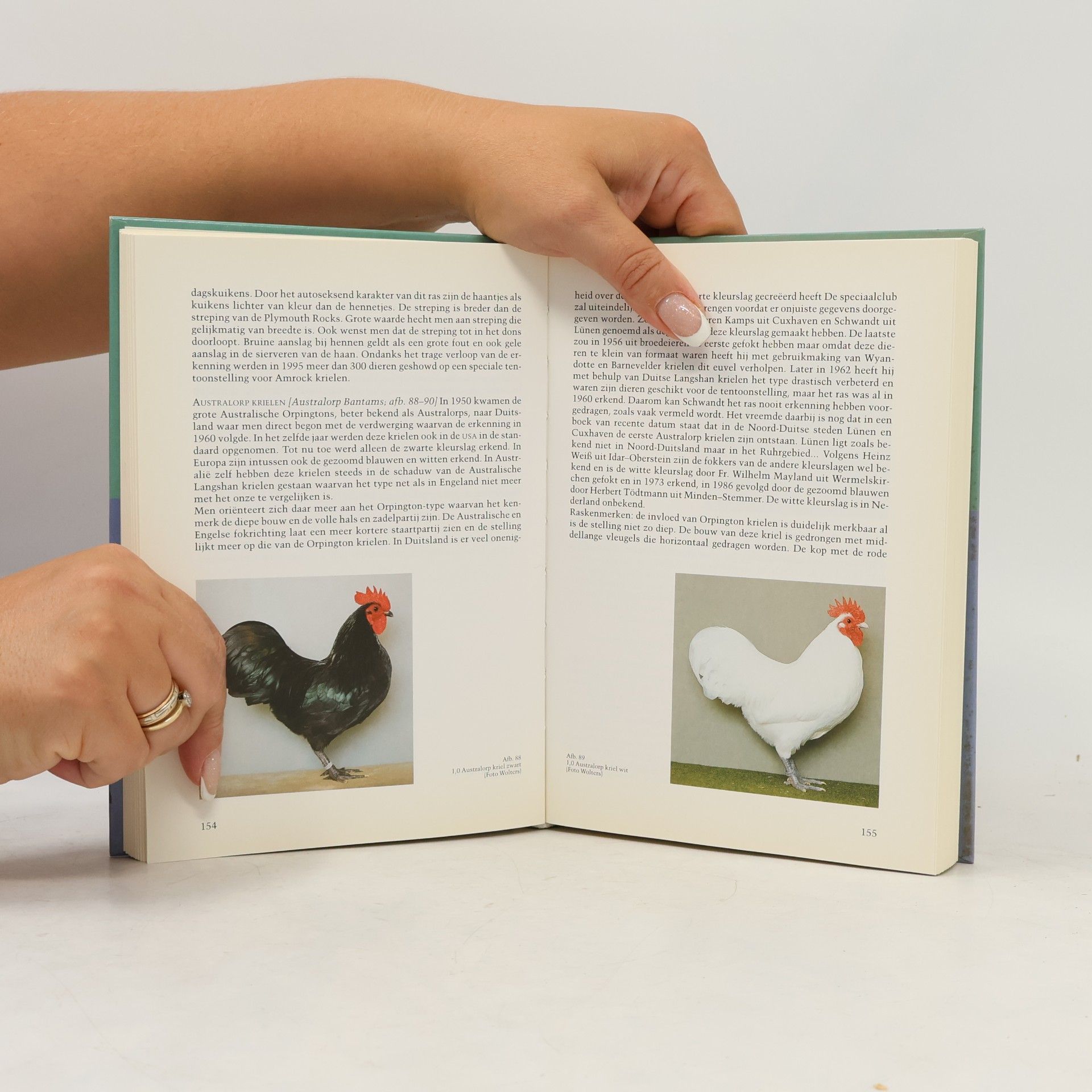 Rüdiger Wandelt Handboek dwerghoenders