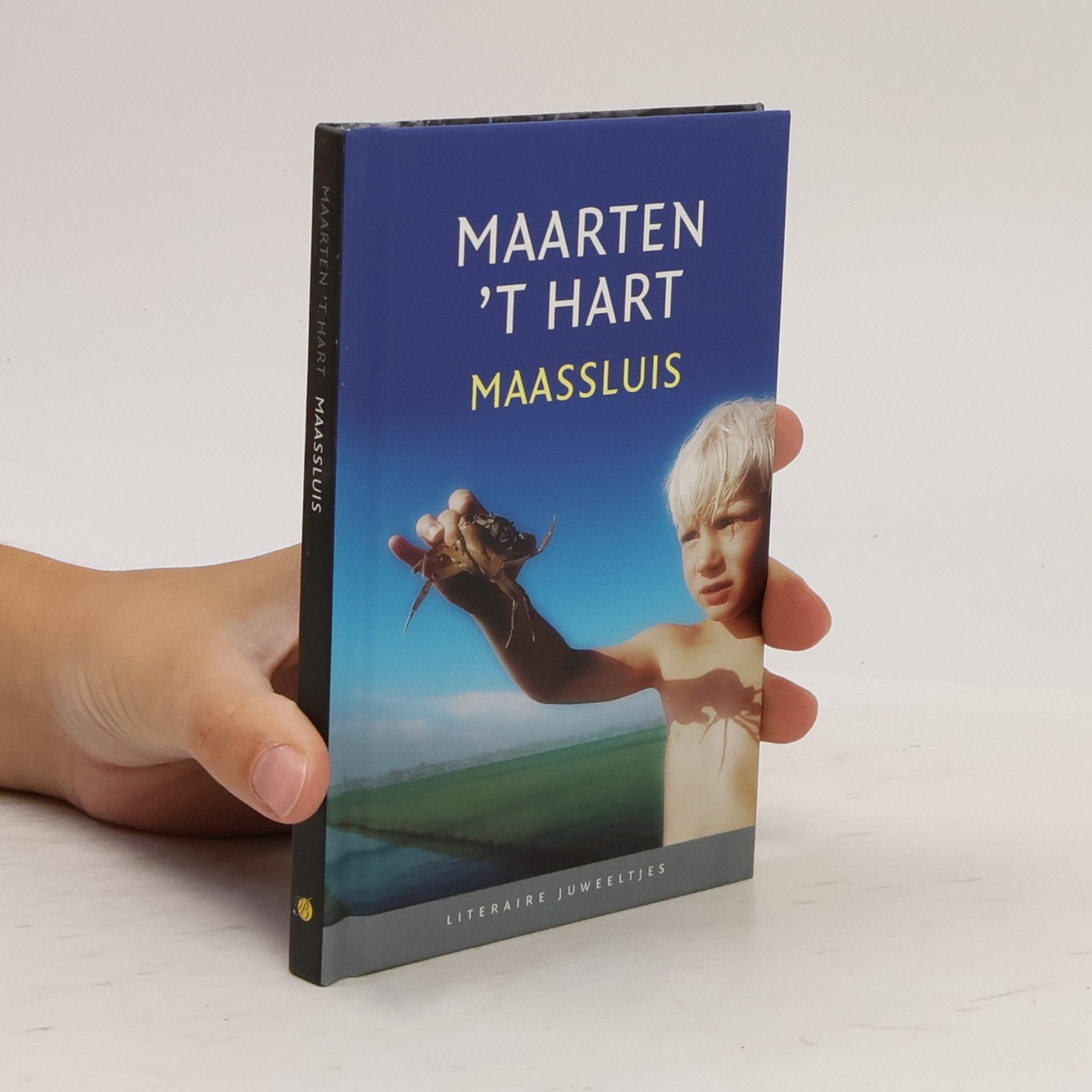 Various authors Maassluis