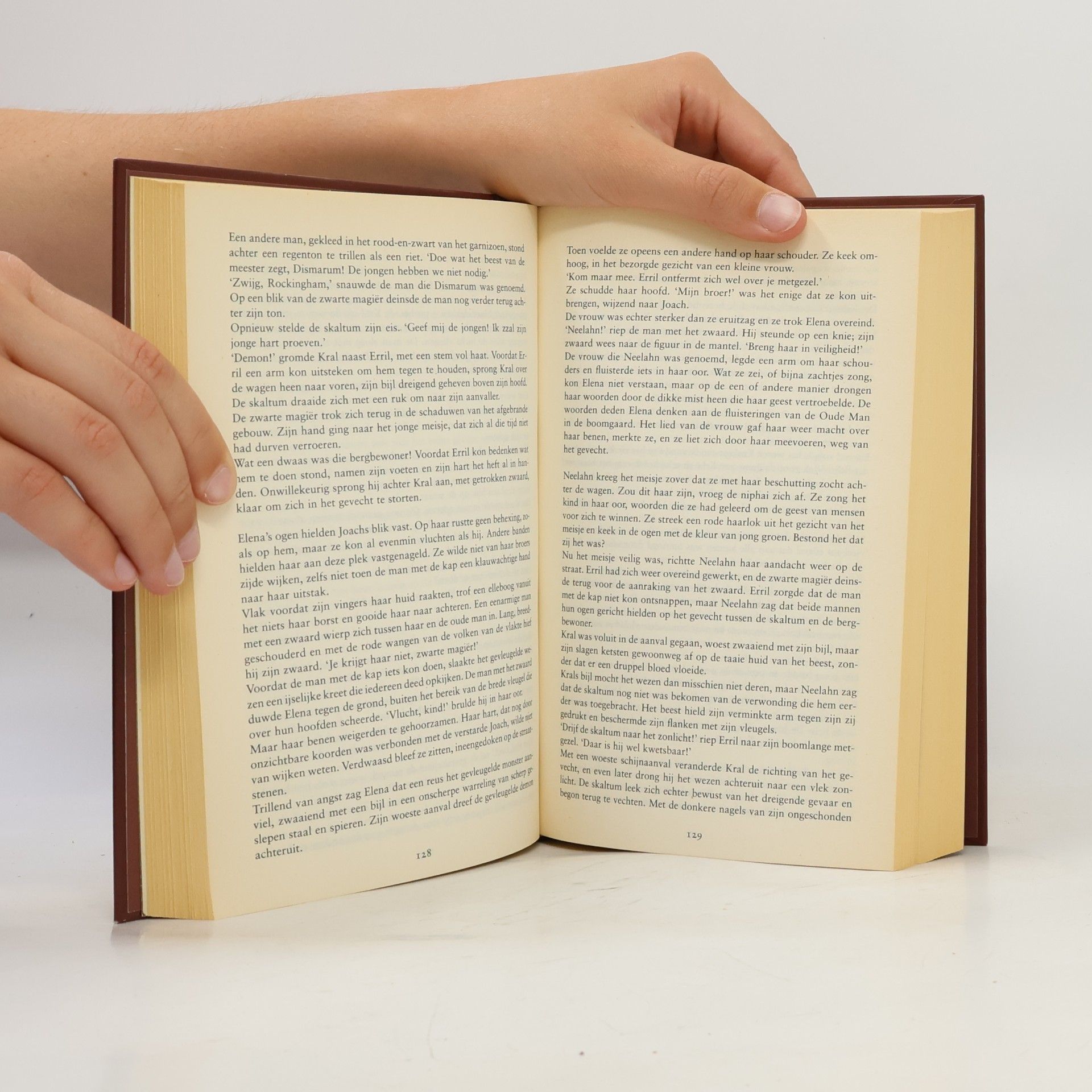Karin Schuitemaker Het Boek van Vuur