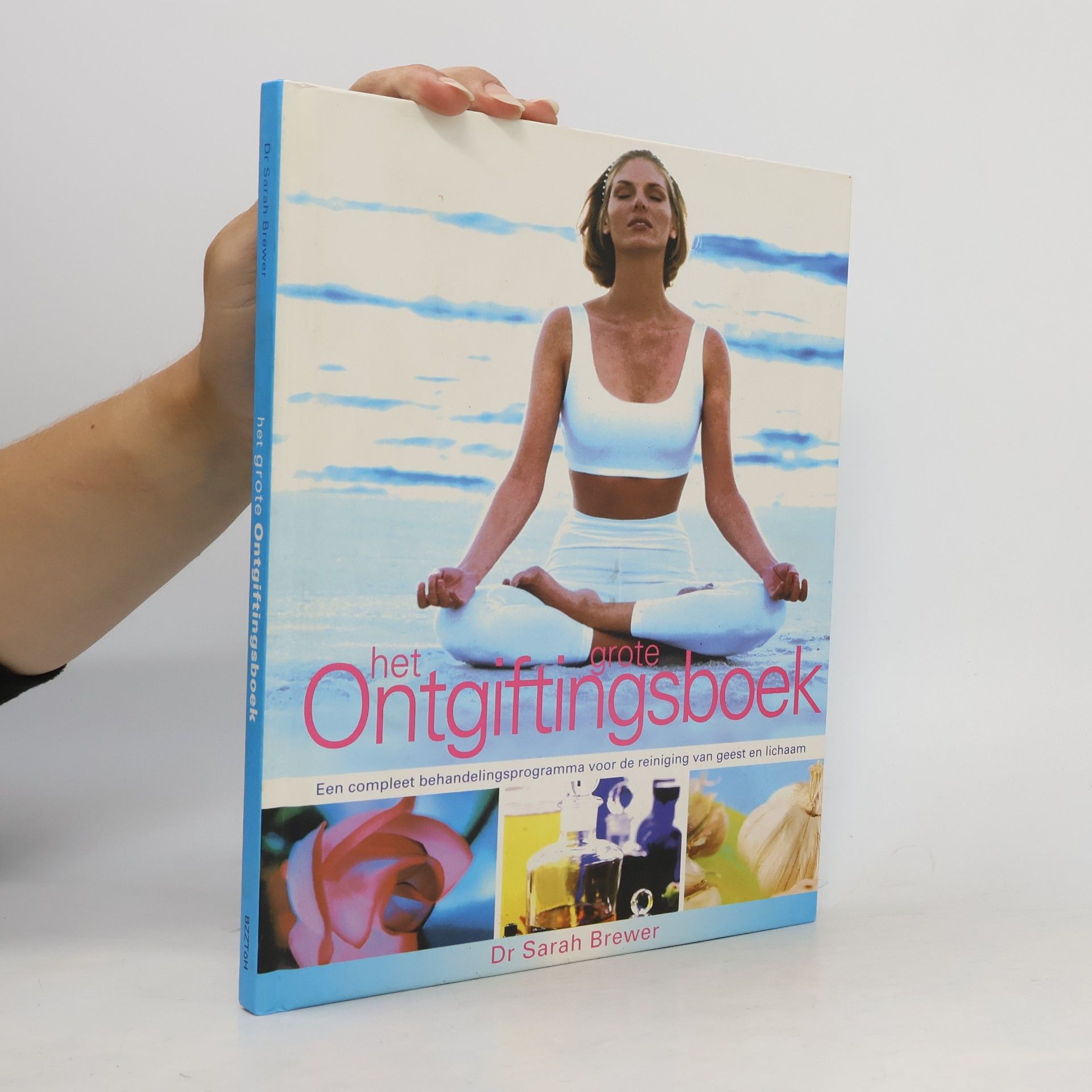 Het grote ontgiftingsboek