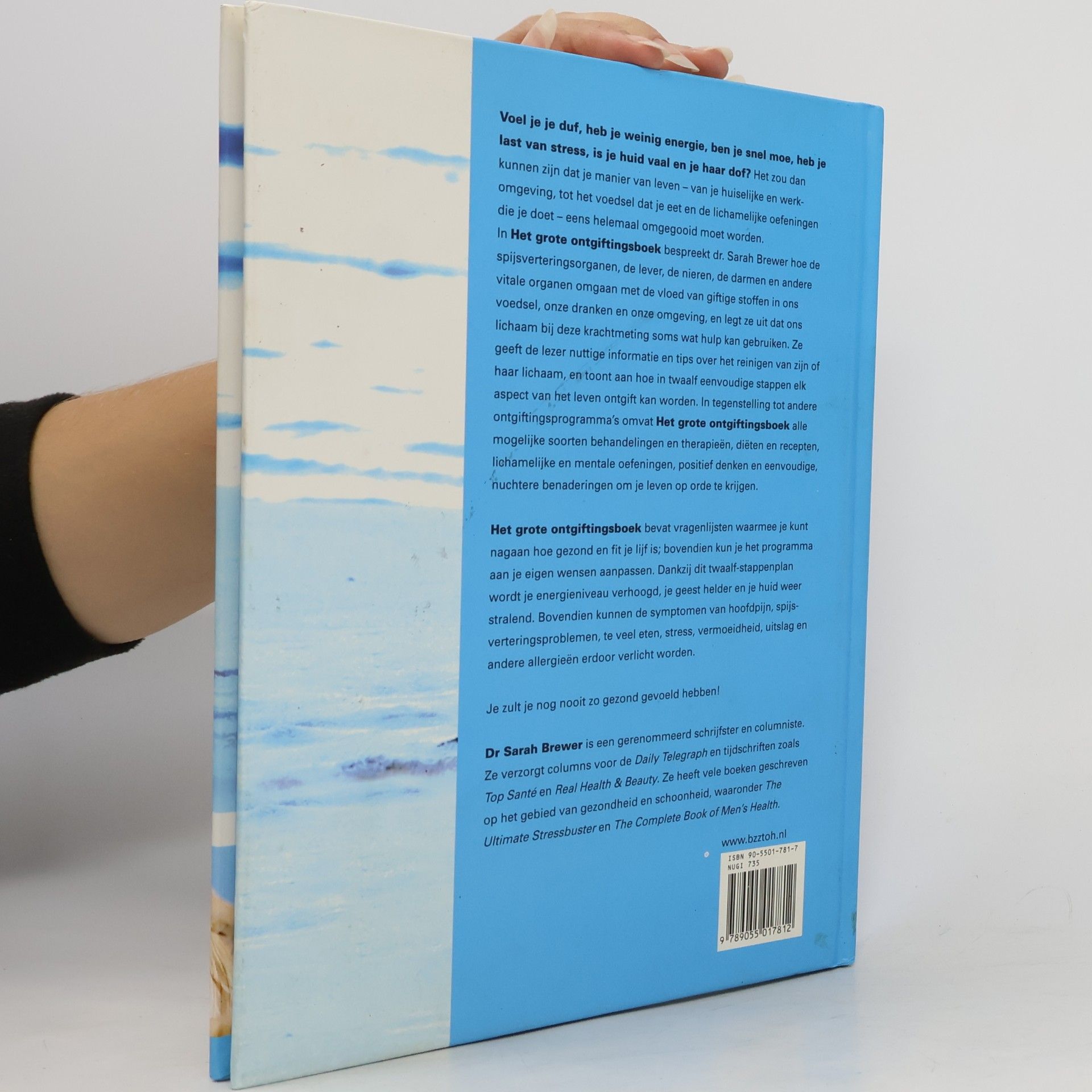 Sarah Brewer Het grote ontgiftingsboek