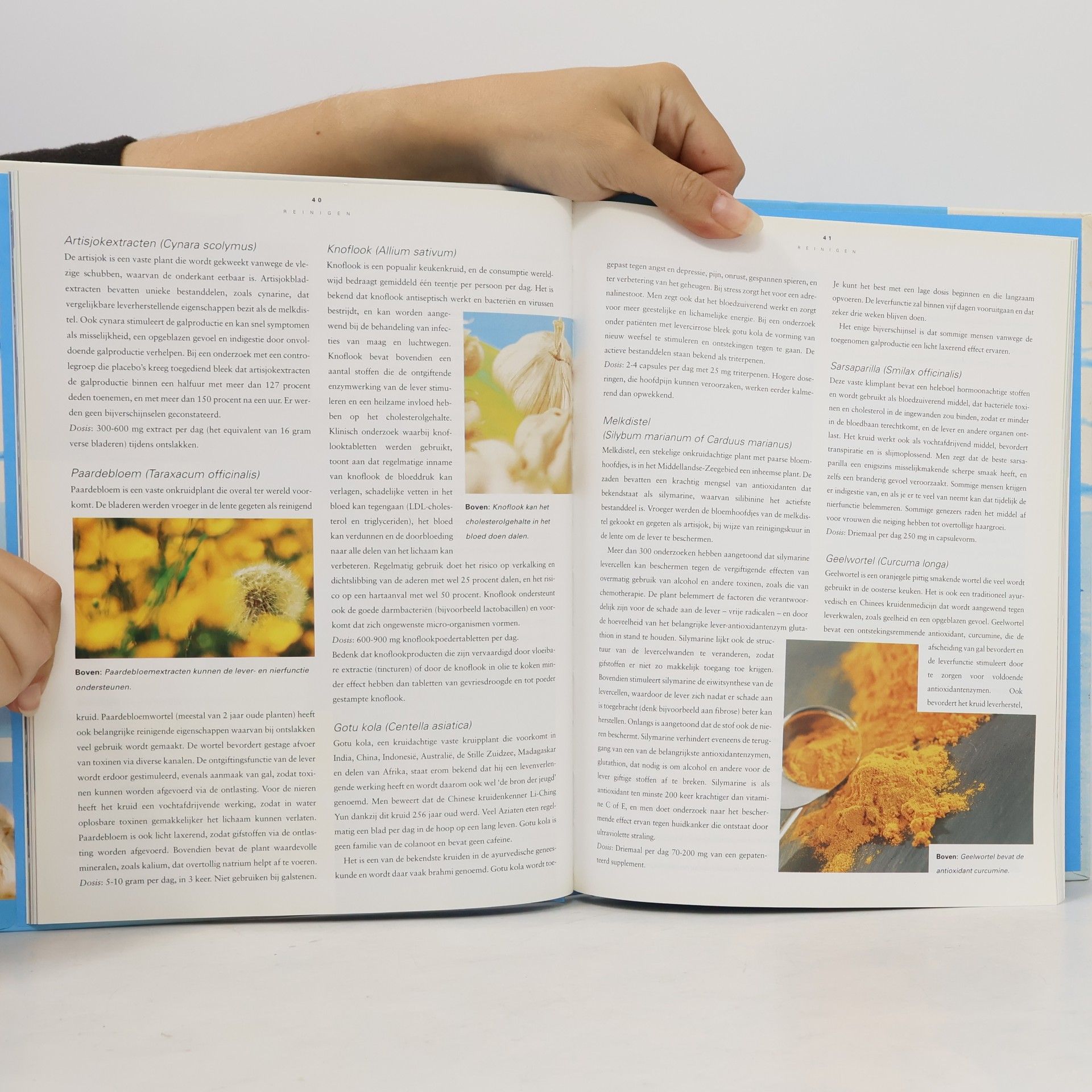 Sarah Brewer Het grote ontgiftingsboek