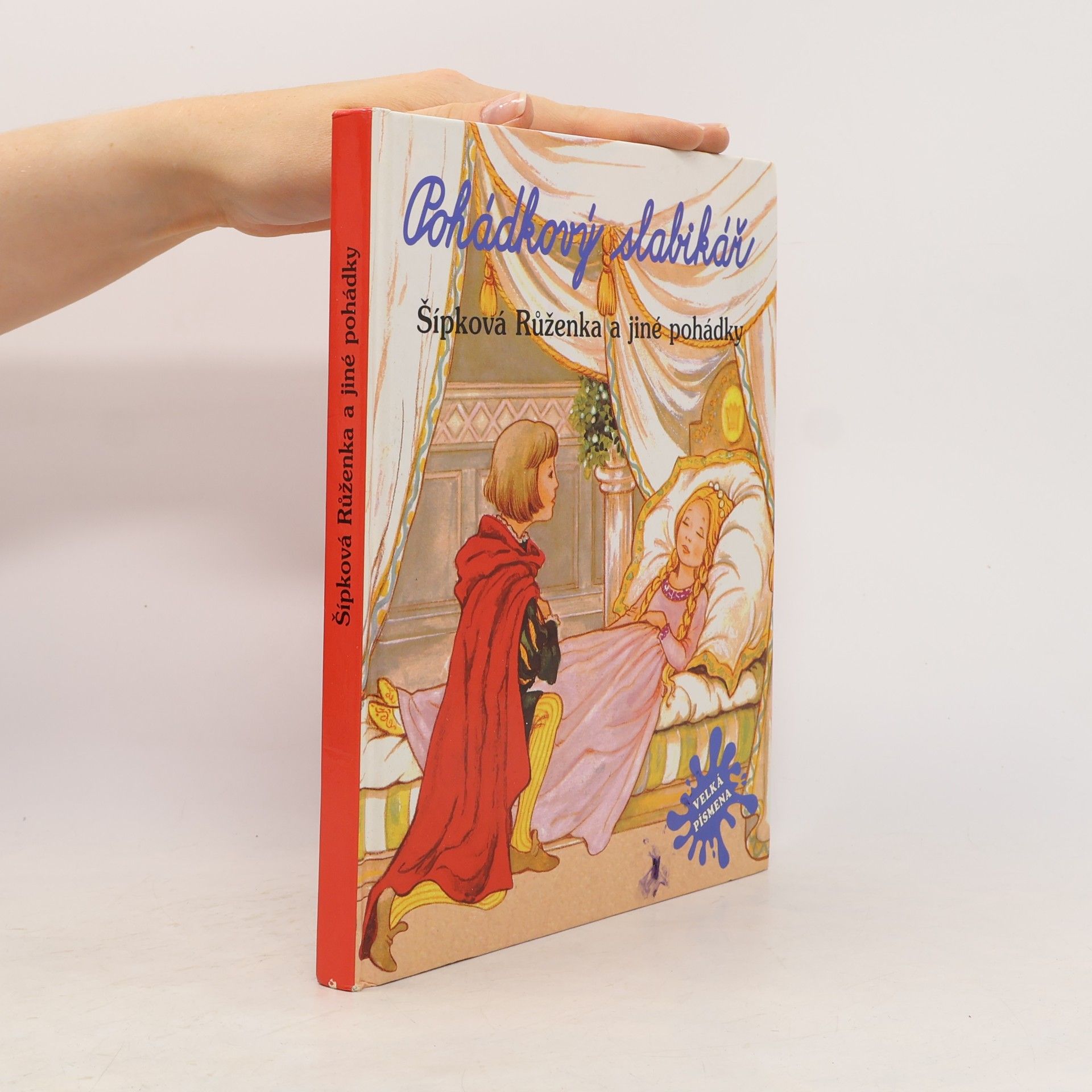 Autorenkollektiv Pohádkový slabikář. Šípková Růženka a jiné pohádky