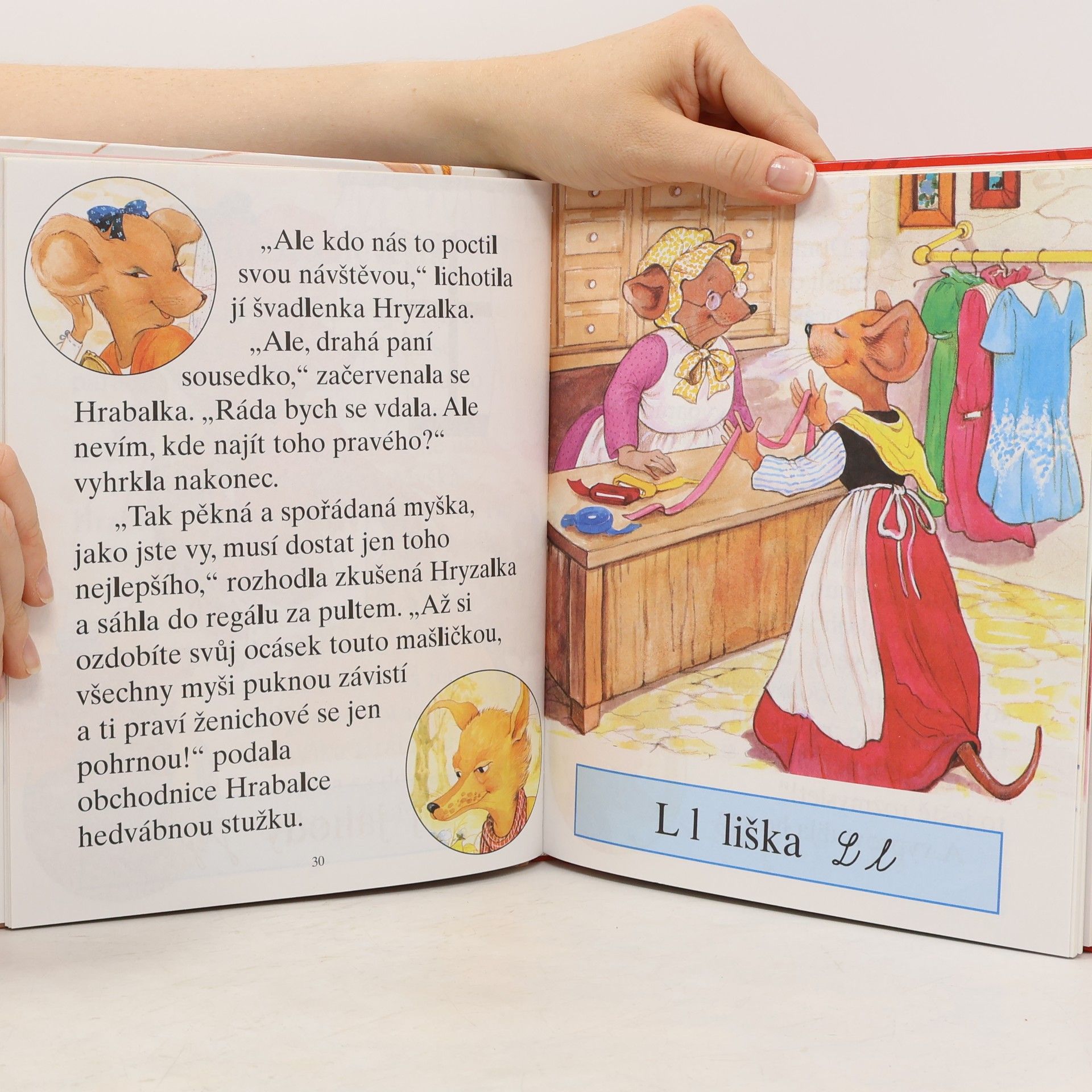 Autorenkollektiv Pohádkový slabikář. Šípková Růženka a jiné pohádky