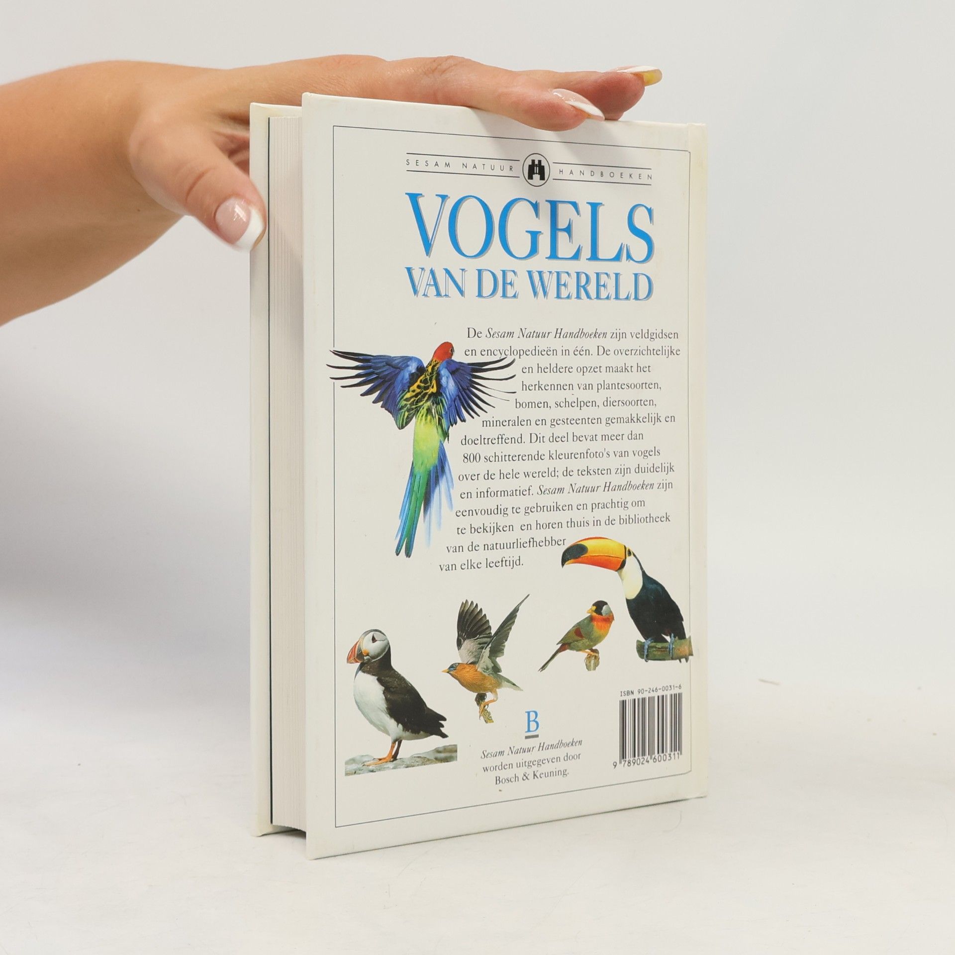 Autorenkollektiv Vogels van de wereld