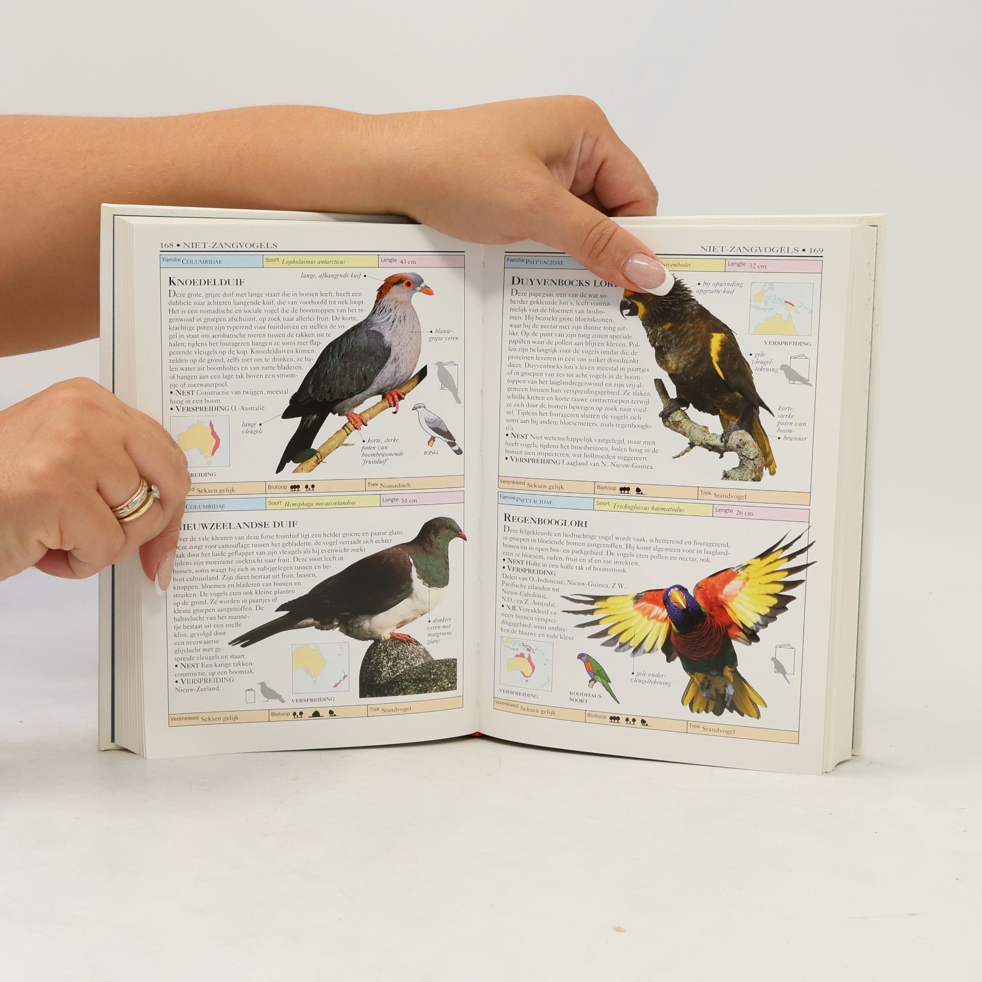 Autorenkollektiv Vogels van de wereld