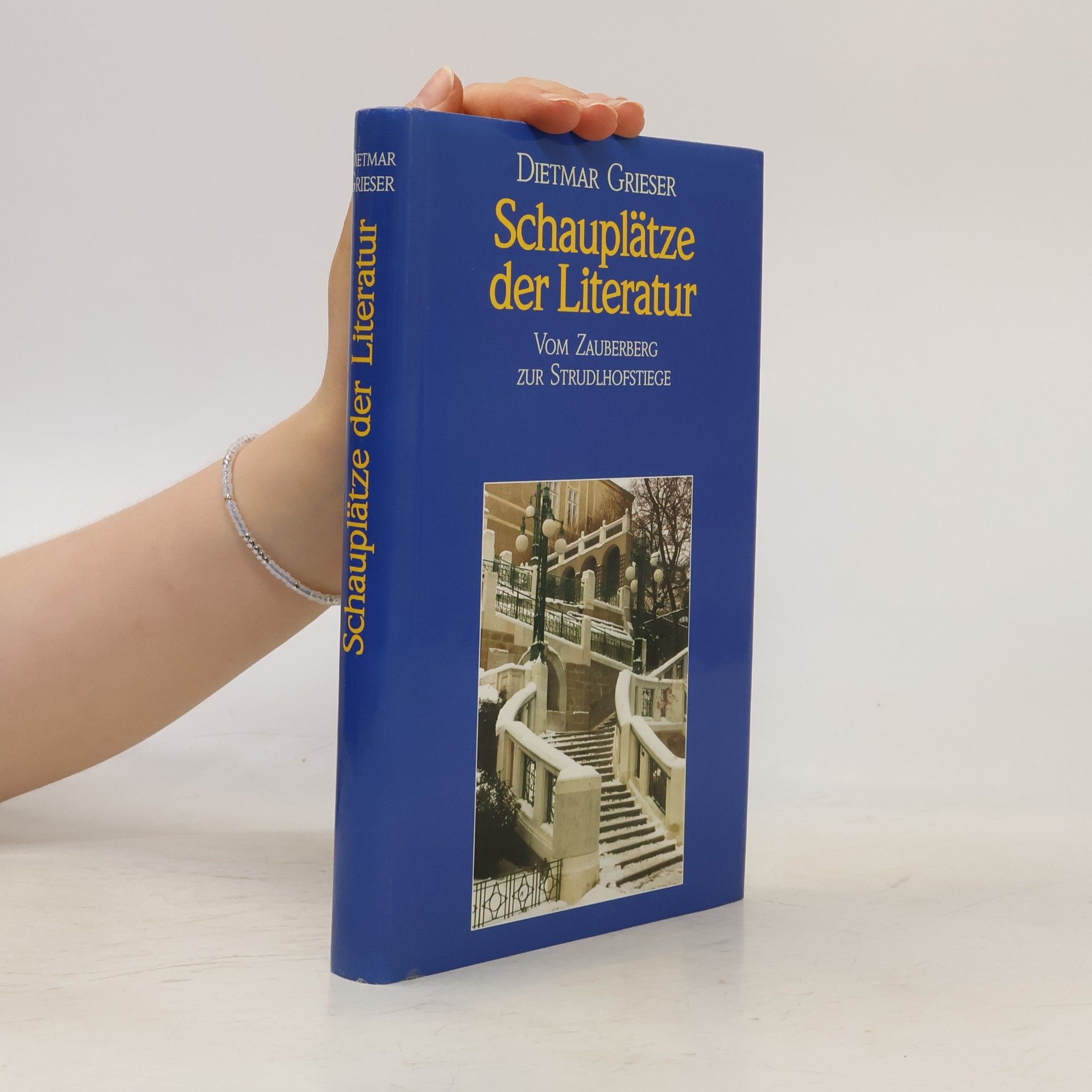 Dietmar Grieser Schauplätze der Literatur vom Zauberberg zur Strudlhofstiege