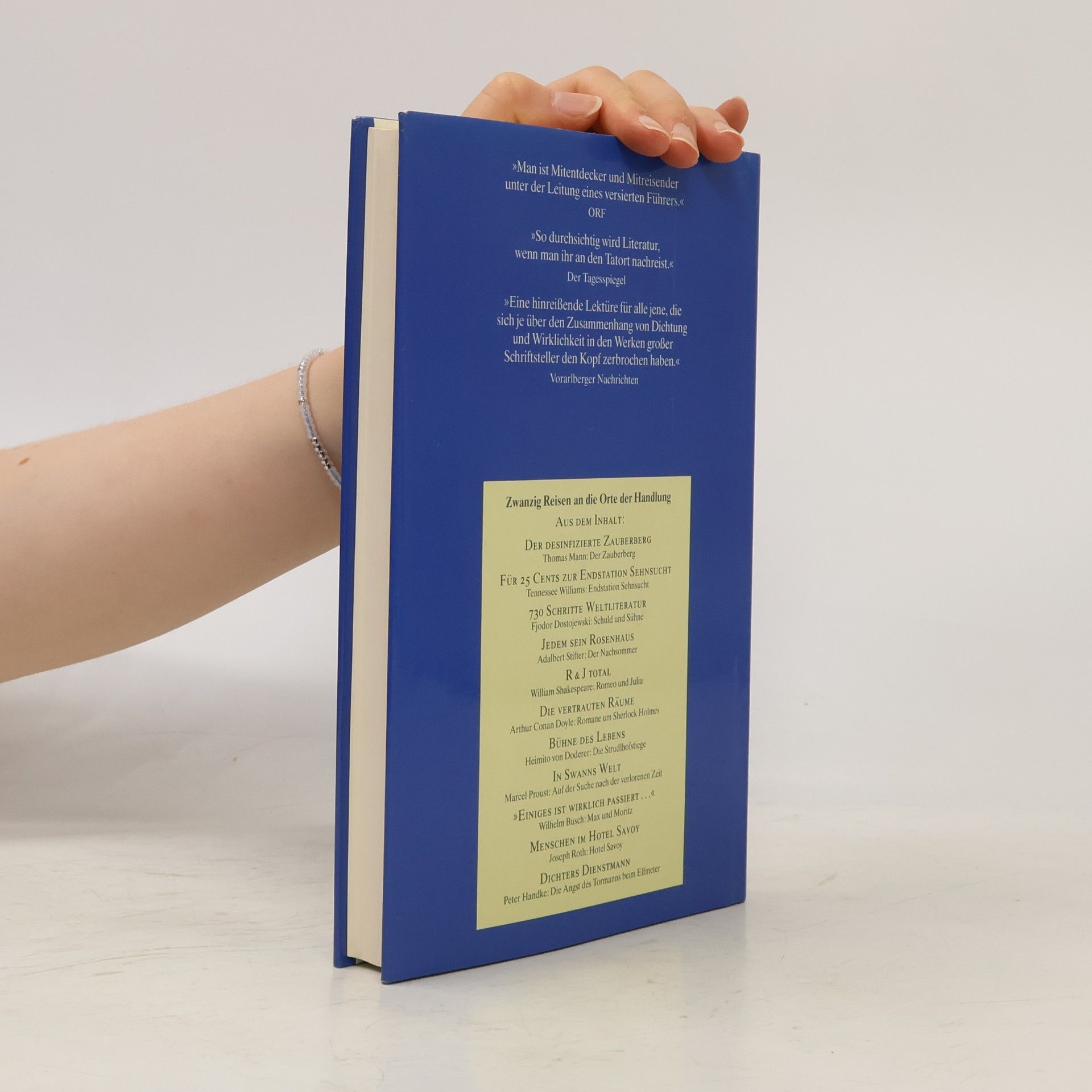 Dietmar Grieser Schauplätze der Literatur vom Zauberberg zur Strudlhofstiege