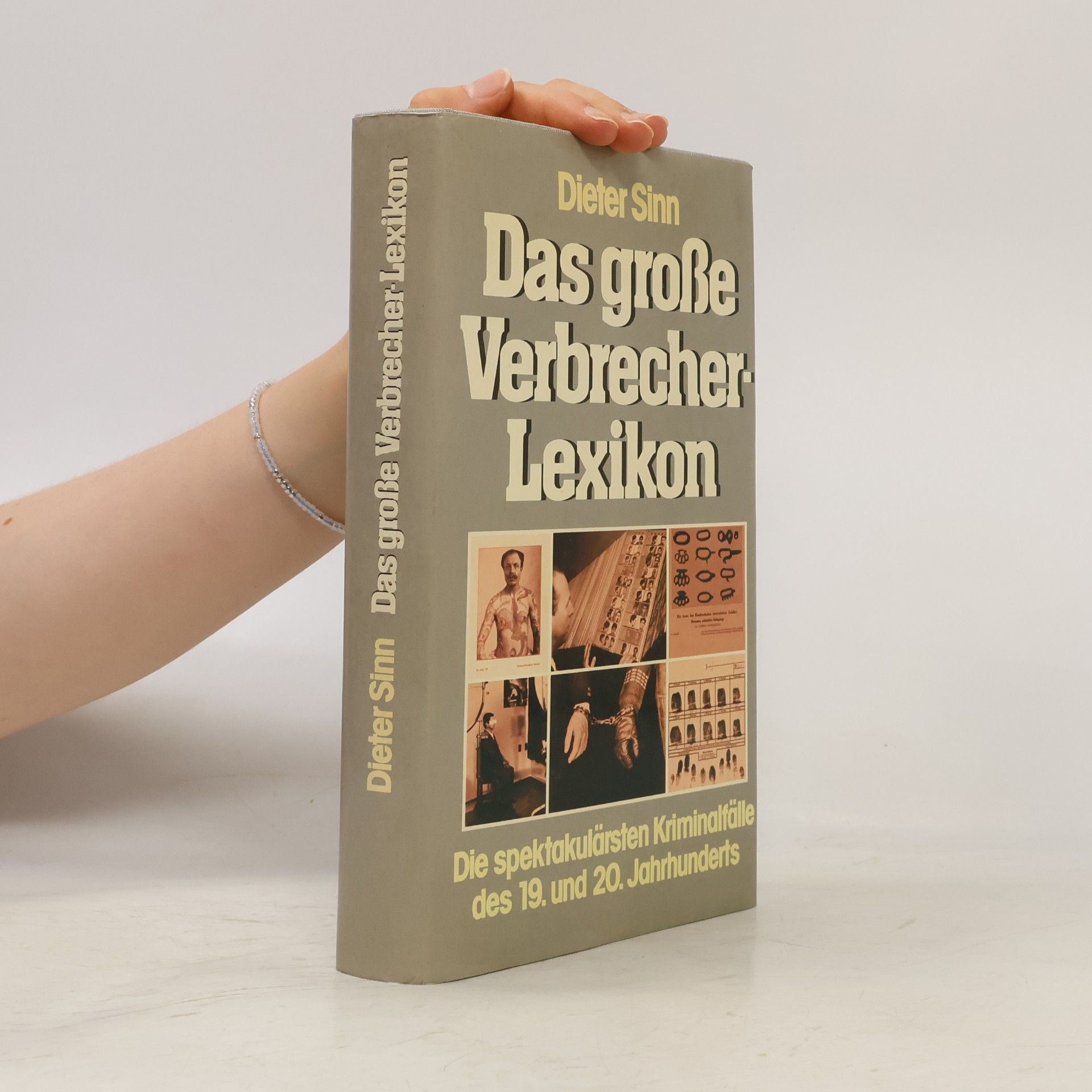 Dieter Sinn Das grosse Verbrecherlexikon