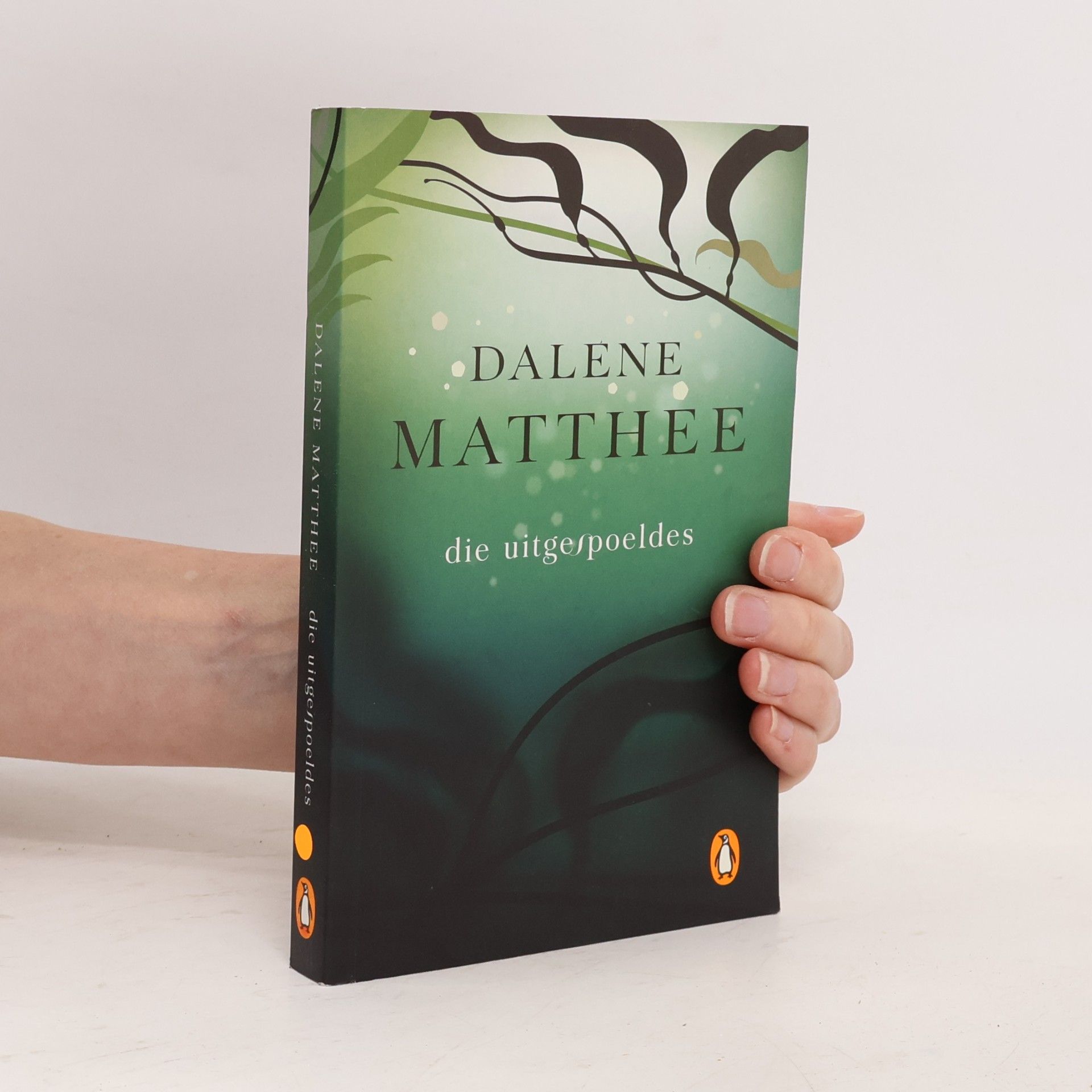 Dalene Matthee Die uitgespoeldes
