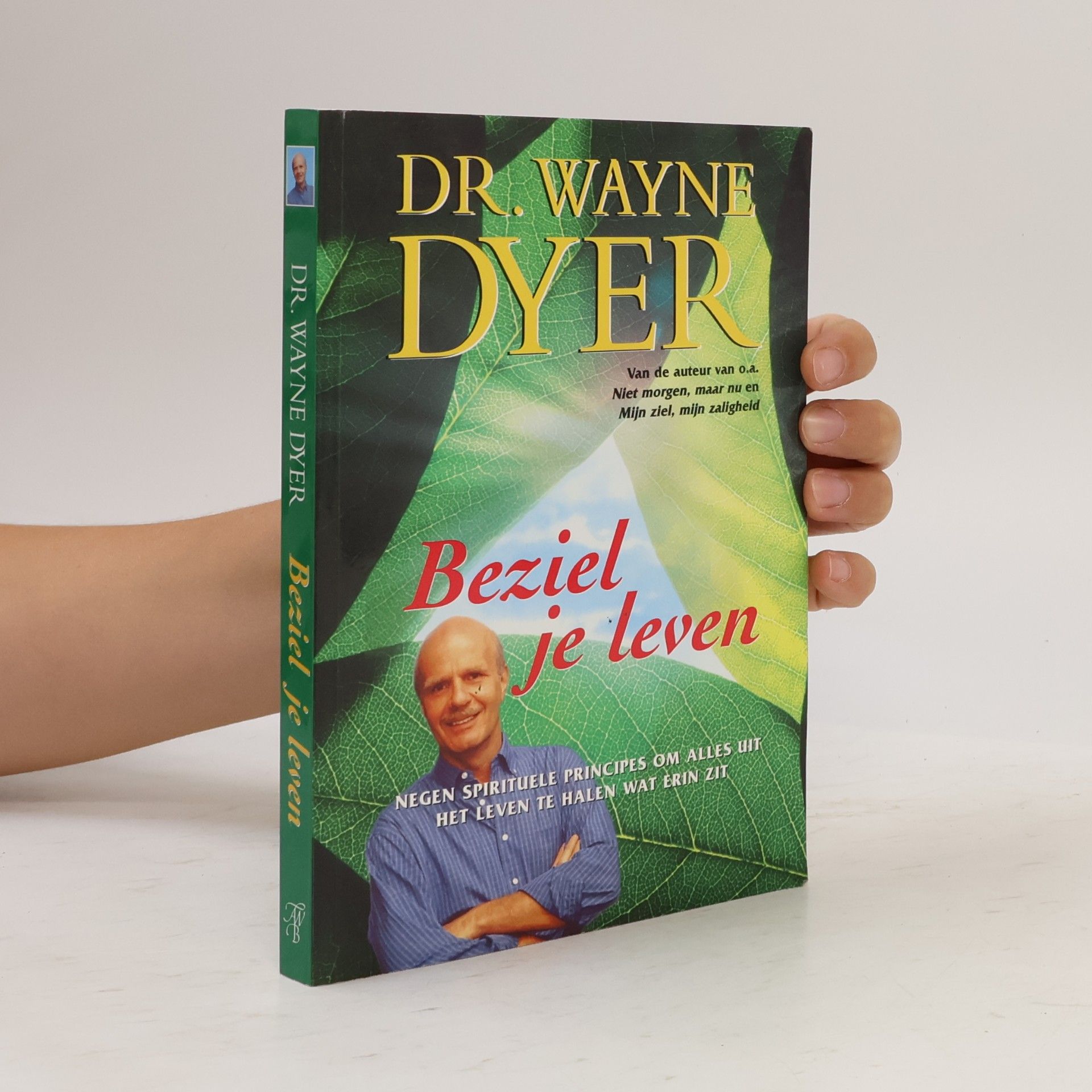 Wayne W. Dyer Beziel je leven