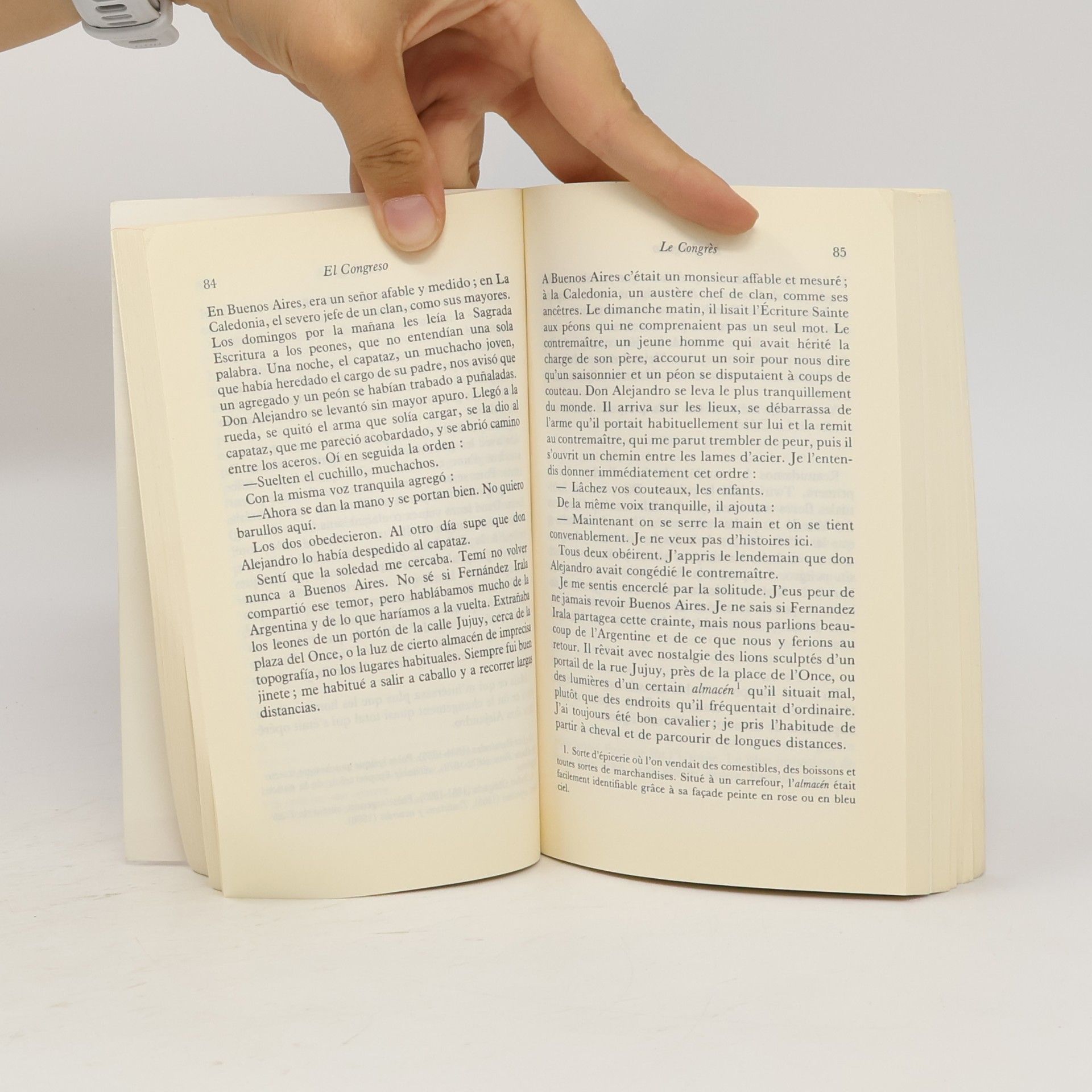 Jorge Luis Borges El Libro de arena