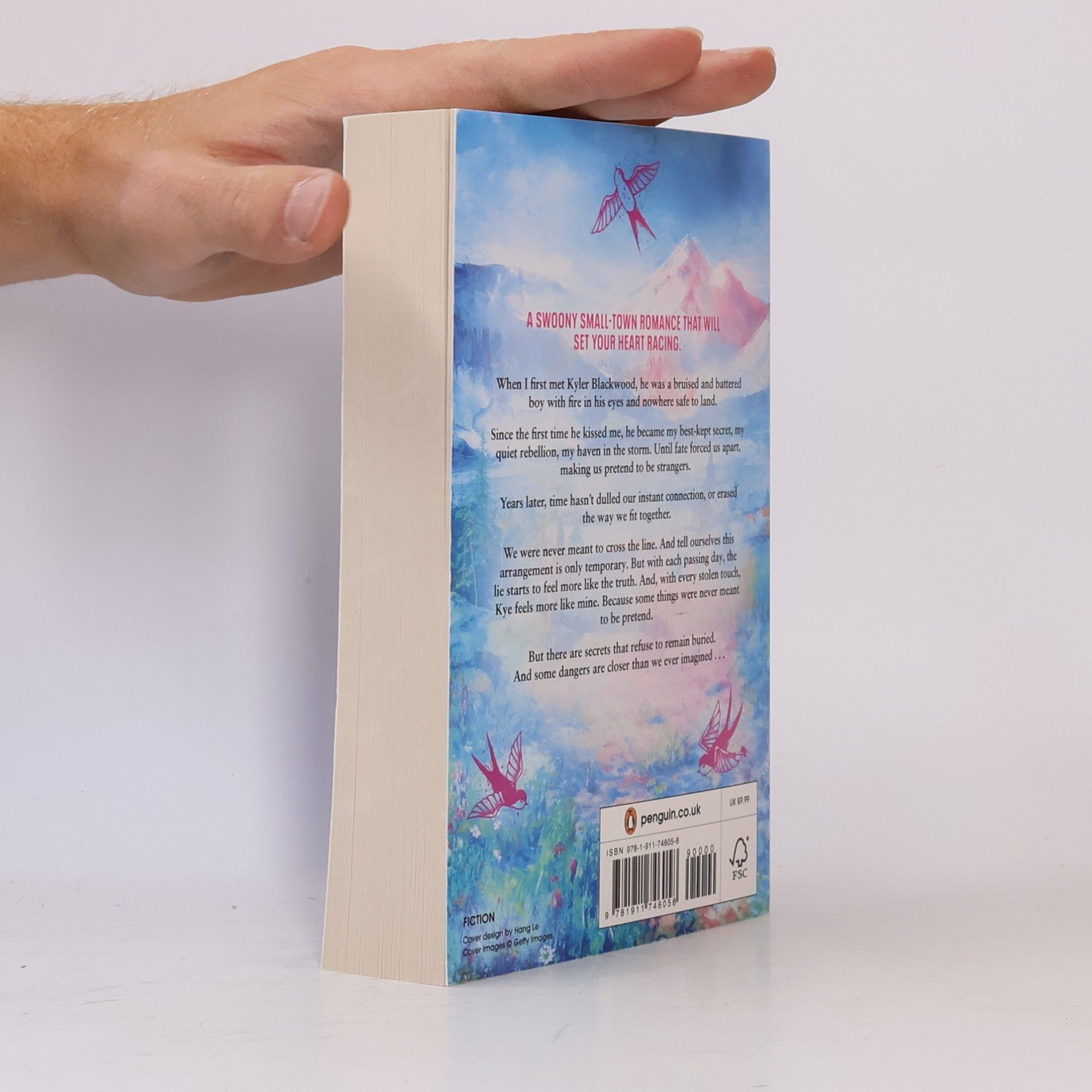 Catherine Cowles Secret Haven: The emotional and gripping small-town romance from the bestselling author of Fragile Sanctuary