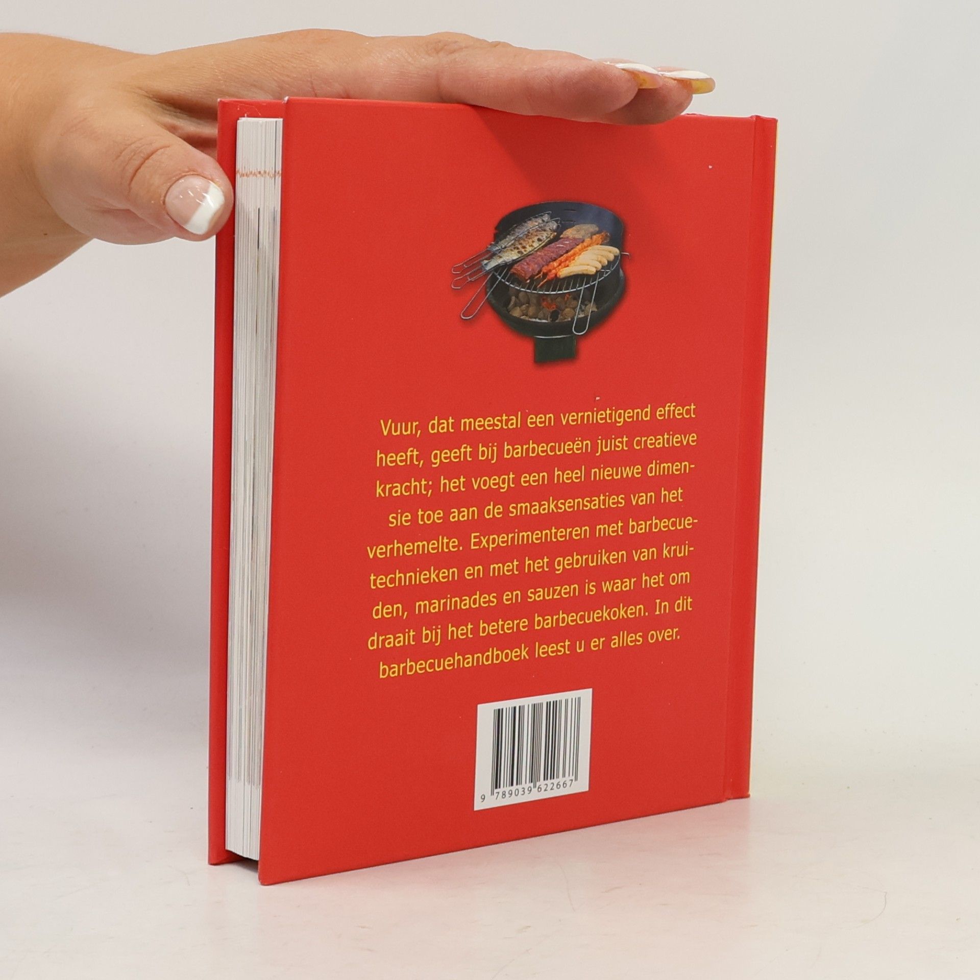 Roger Kimpel Handboek Barbecue