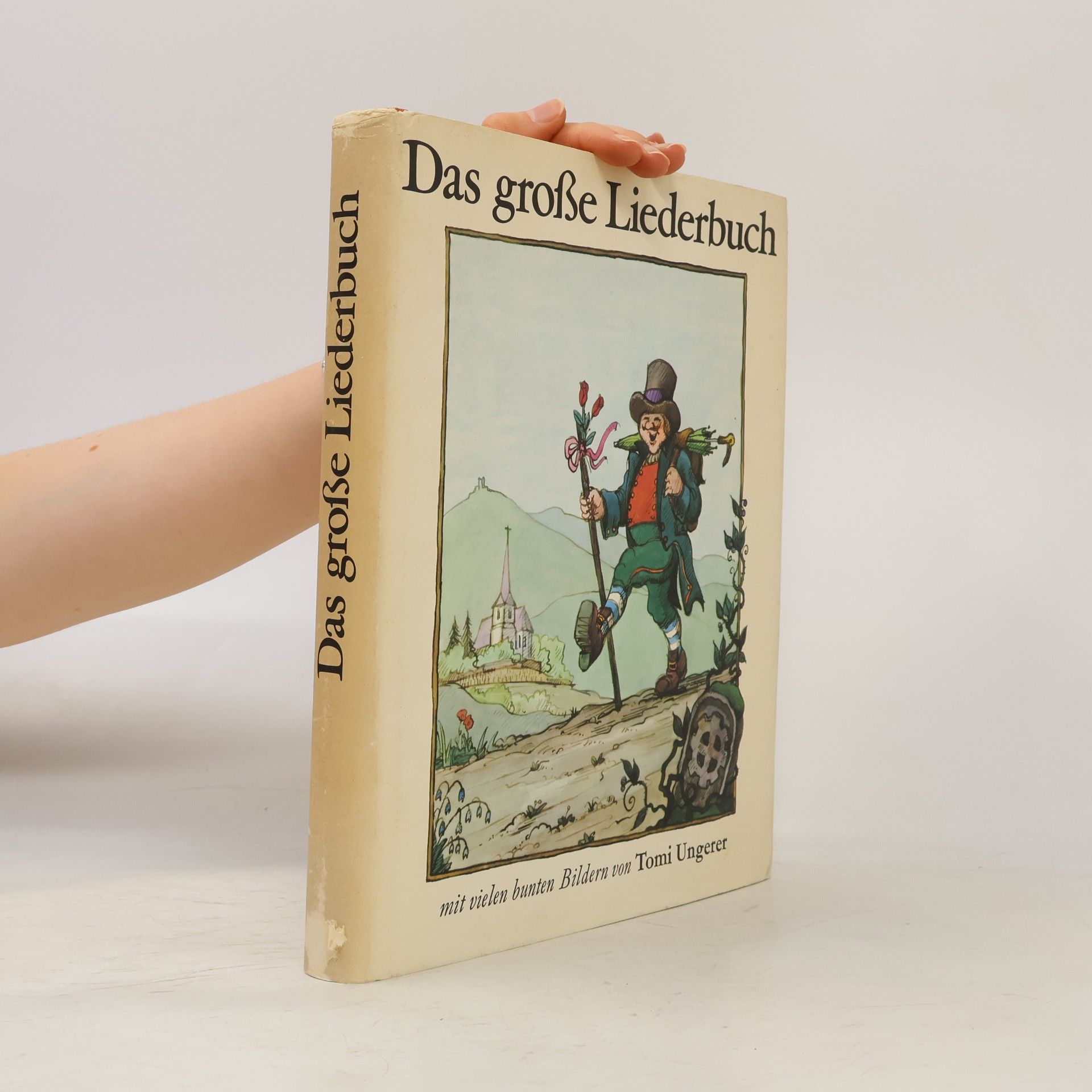 Kolektiv autorů Das große Liederbuch