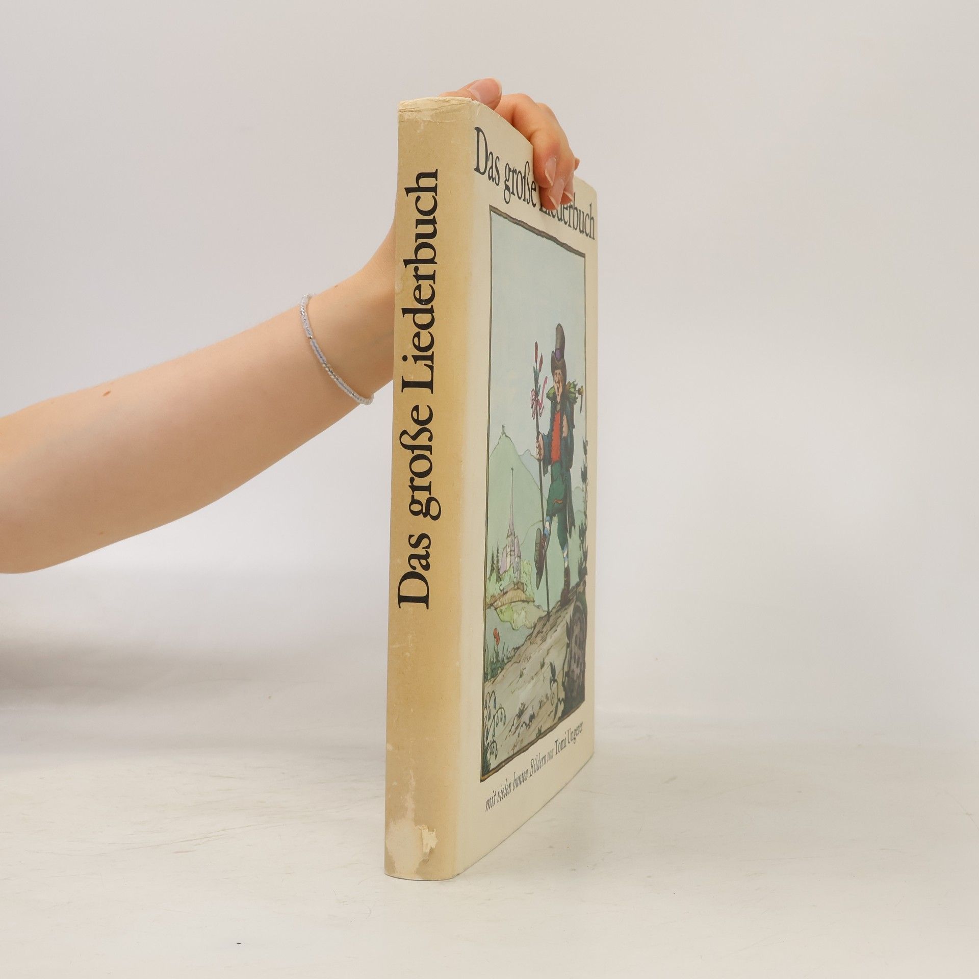 Kolektiv autorů Das große Liederbuch