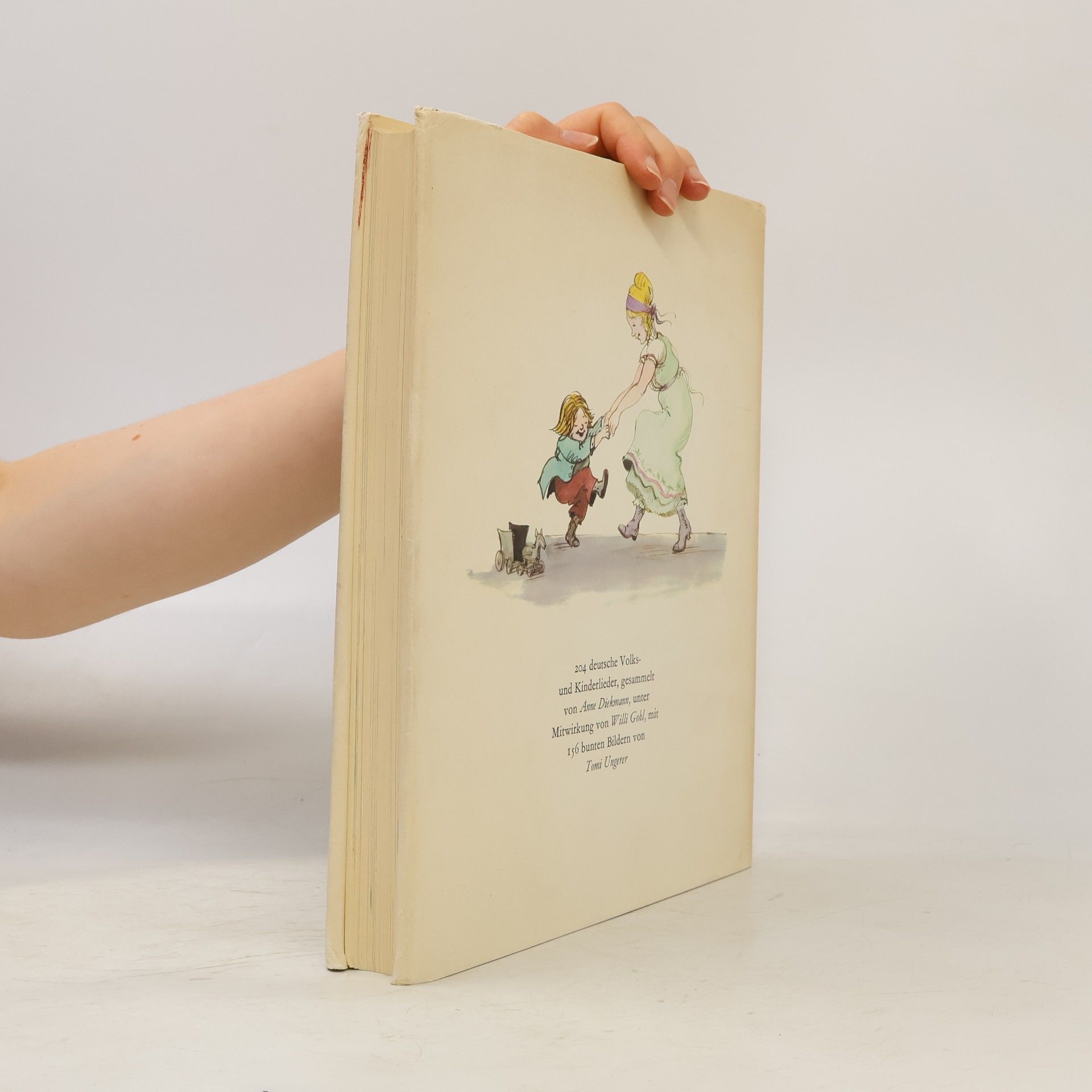 Kolektiv autorů Das große Liederbuch
