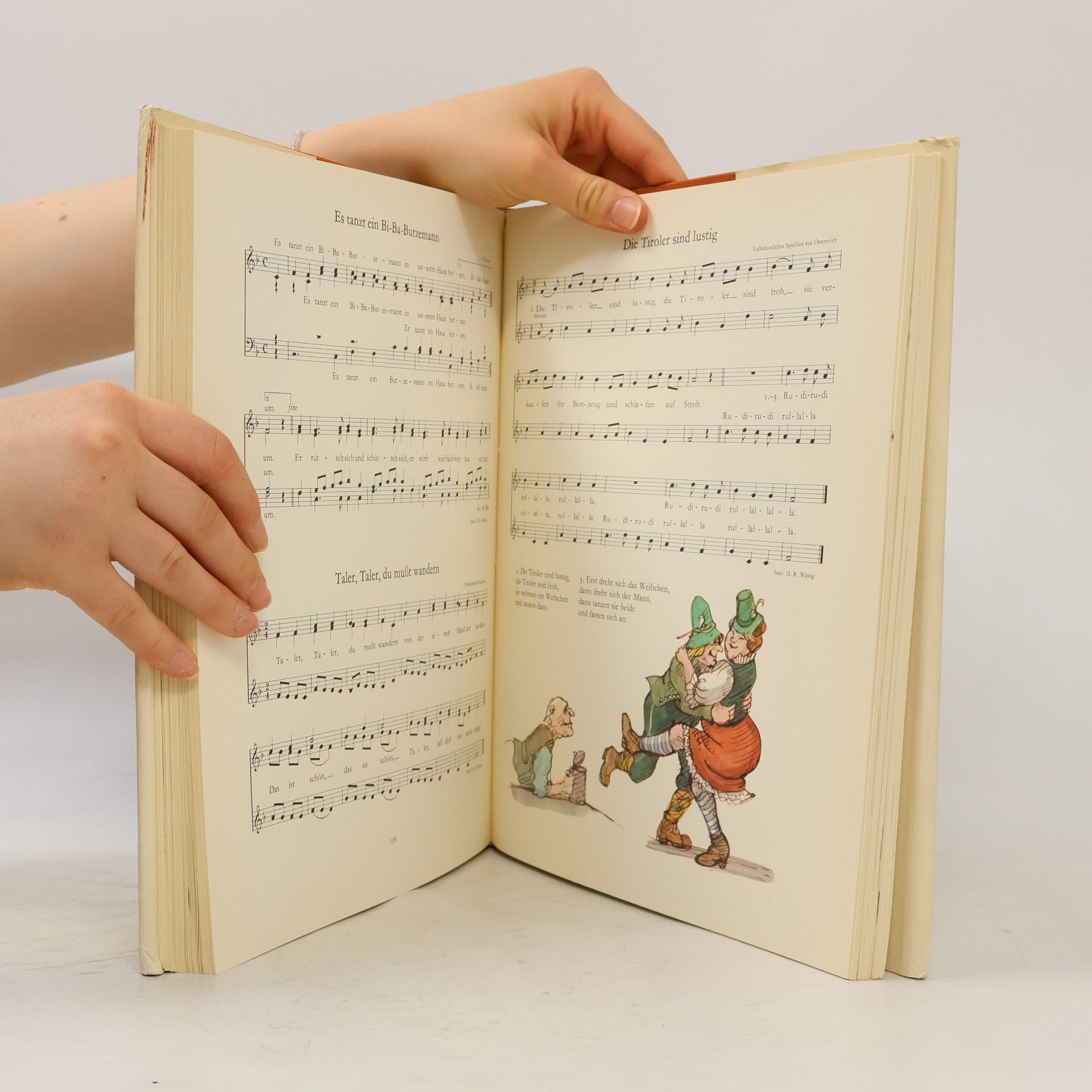 Kolektiv autorů Das große Liederbuch