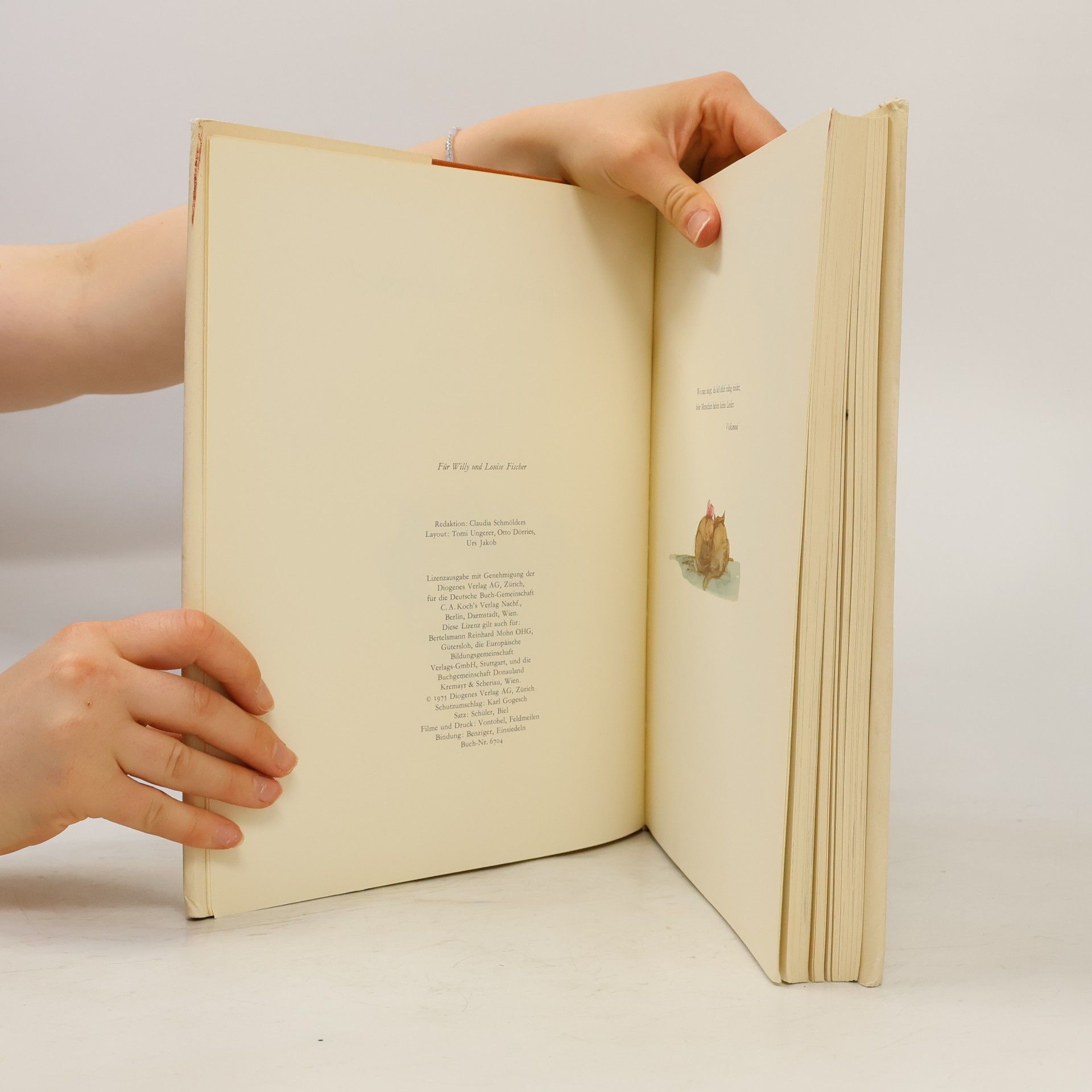 Kolektiv autorů Das große Liederbuch
