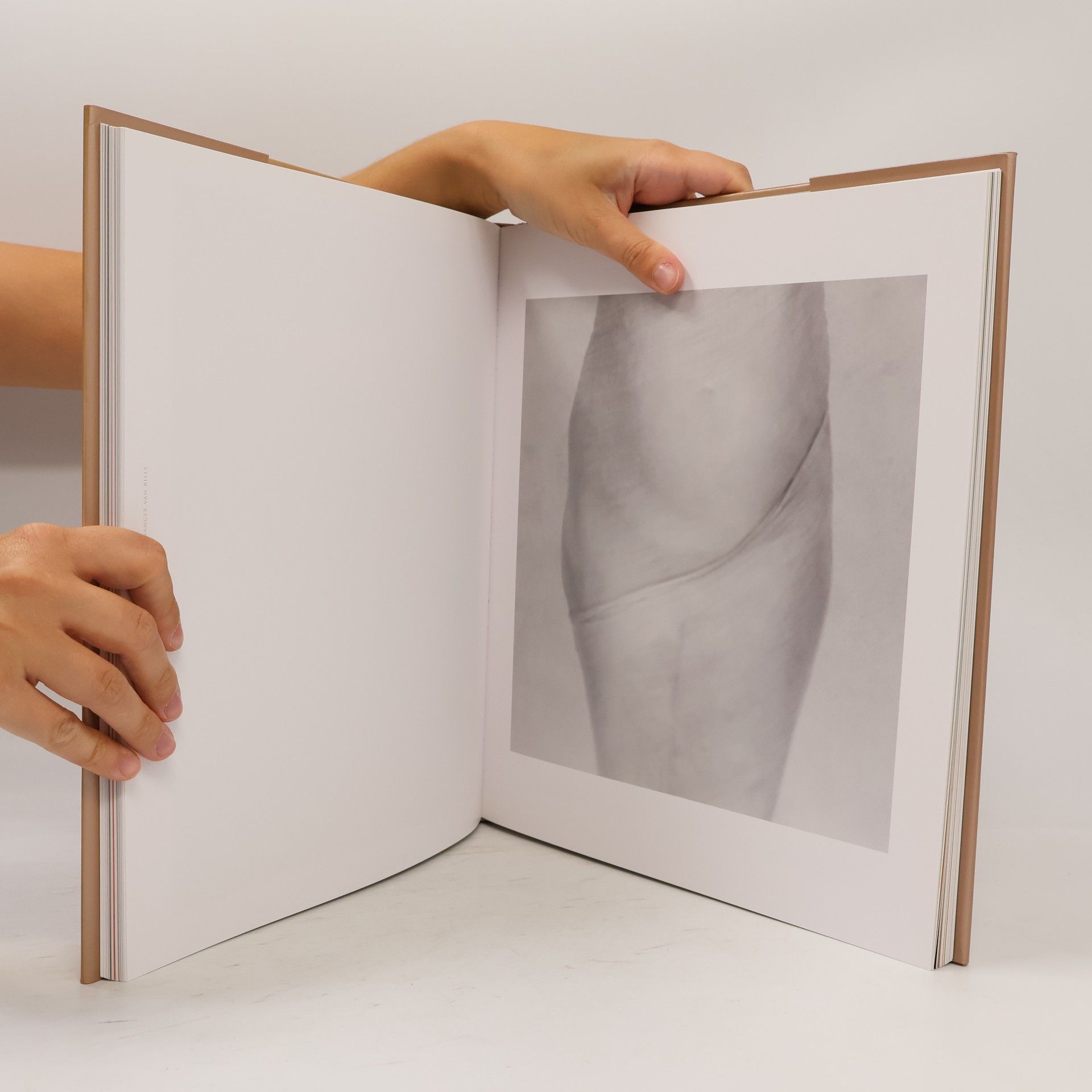 Anne Geddes Pure