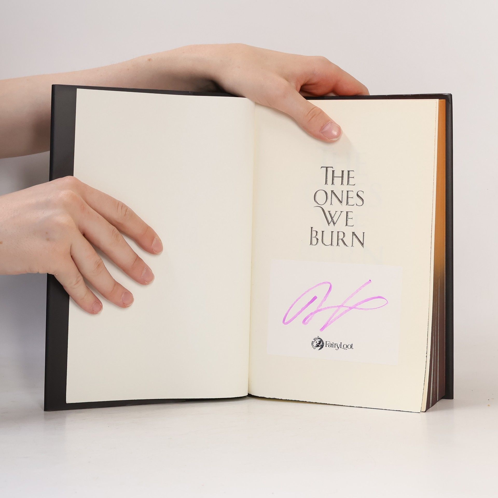 Rebecca Mix The Ones We Burn