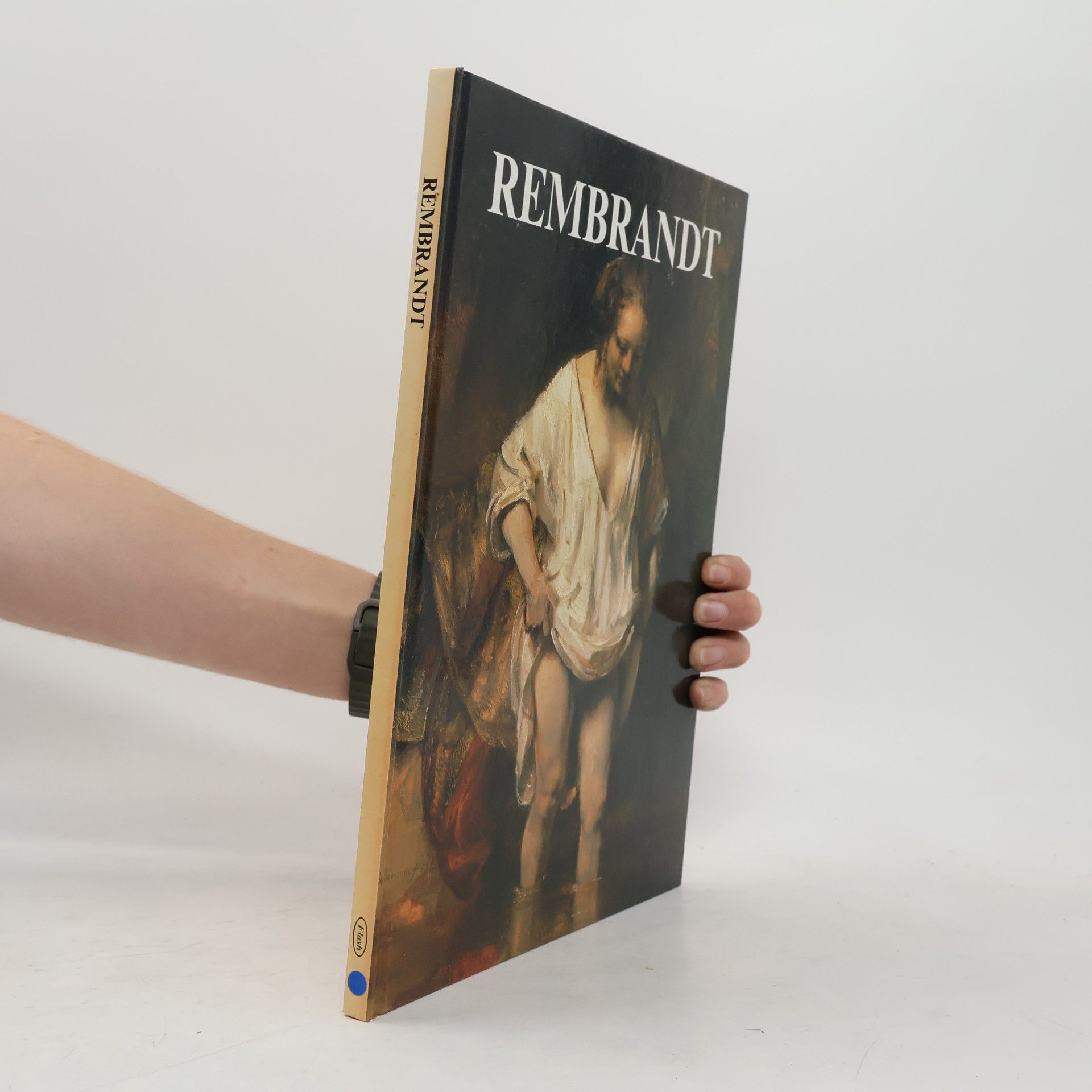 Rembrandt Harmensz. van Rijn Rembrandt