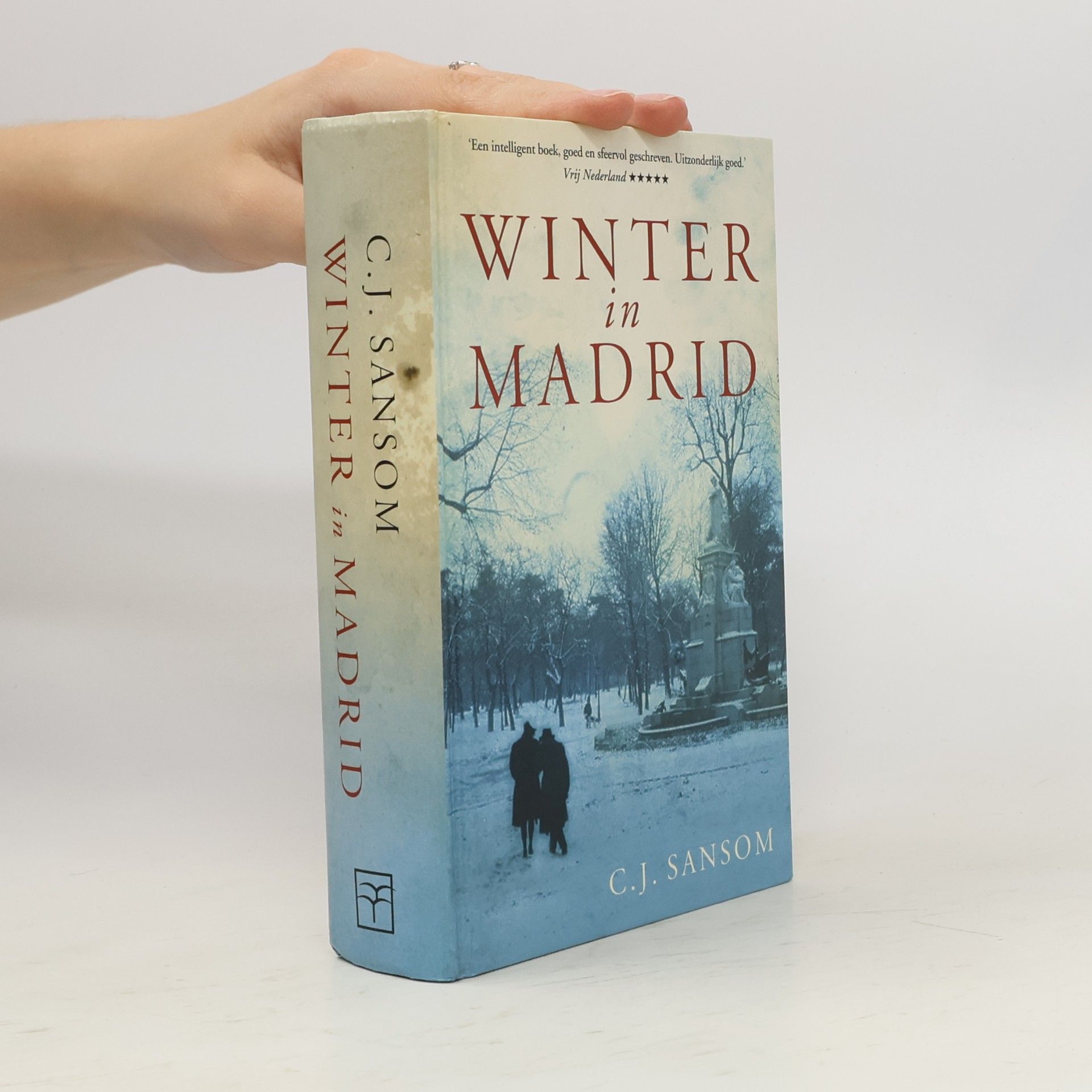 Winter in Madrid