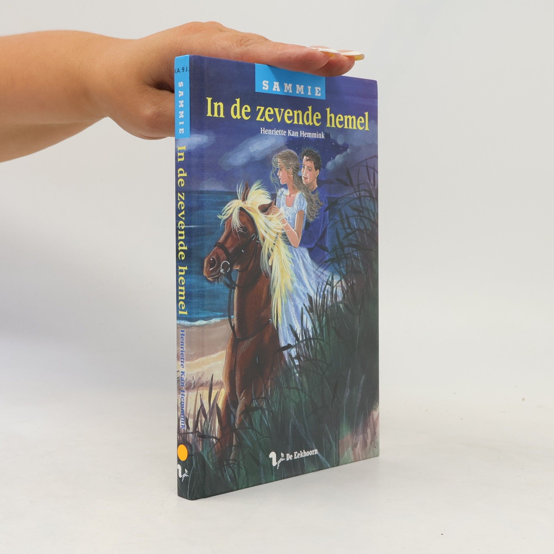 Kan Hemmink, H. In de zevende hemel / druk 1 (Sammie, Band 8)