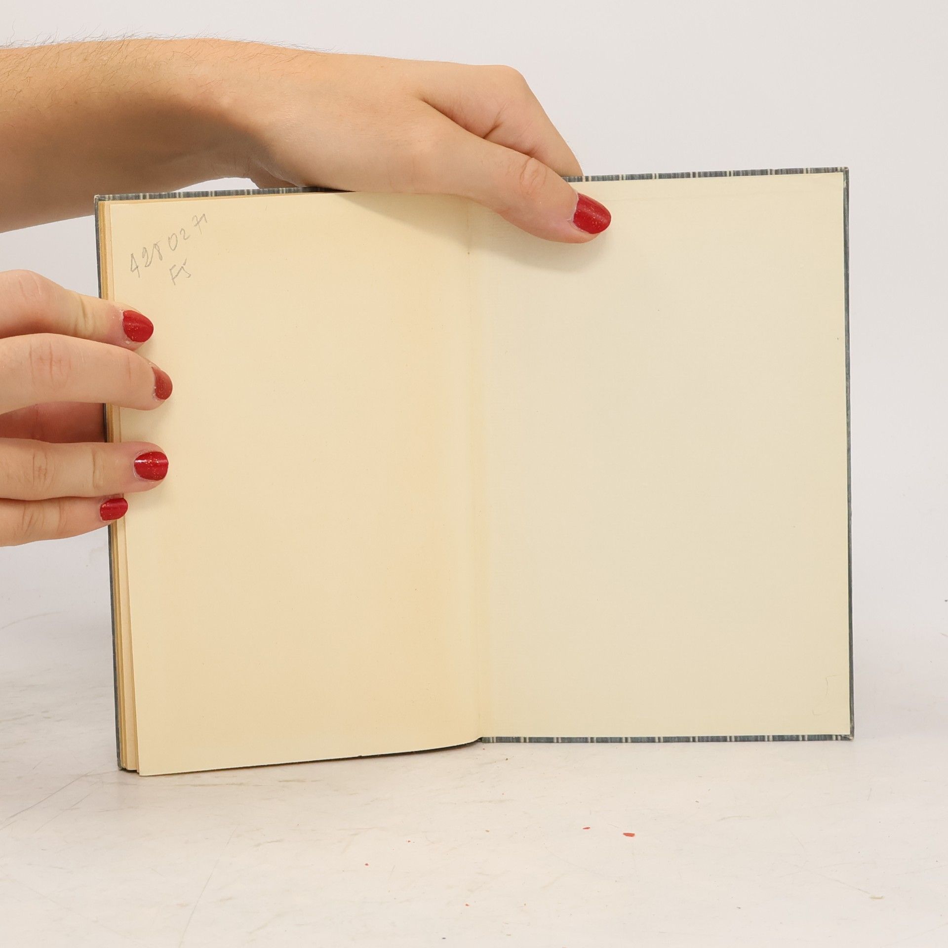 Gertrud von le Fort Die Consolata