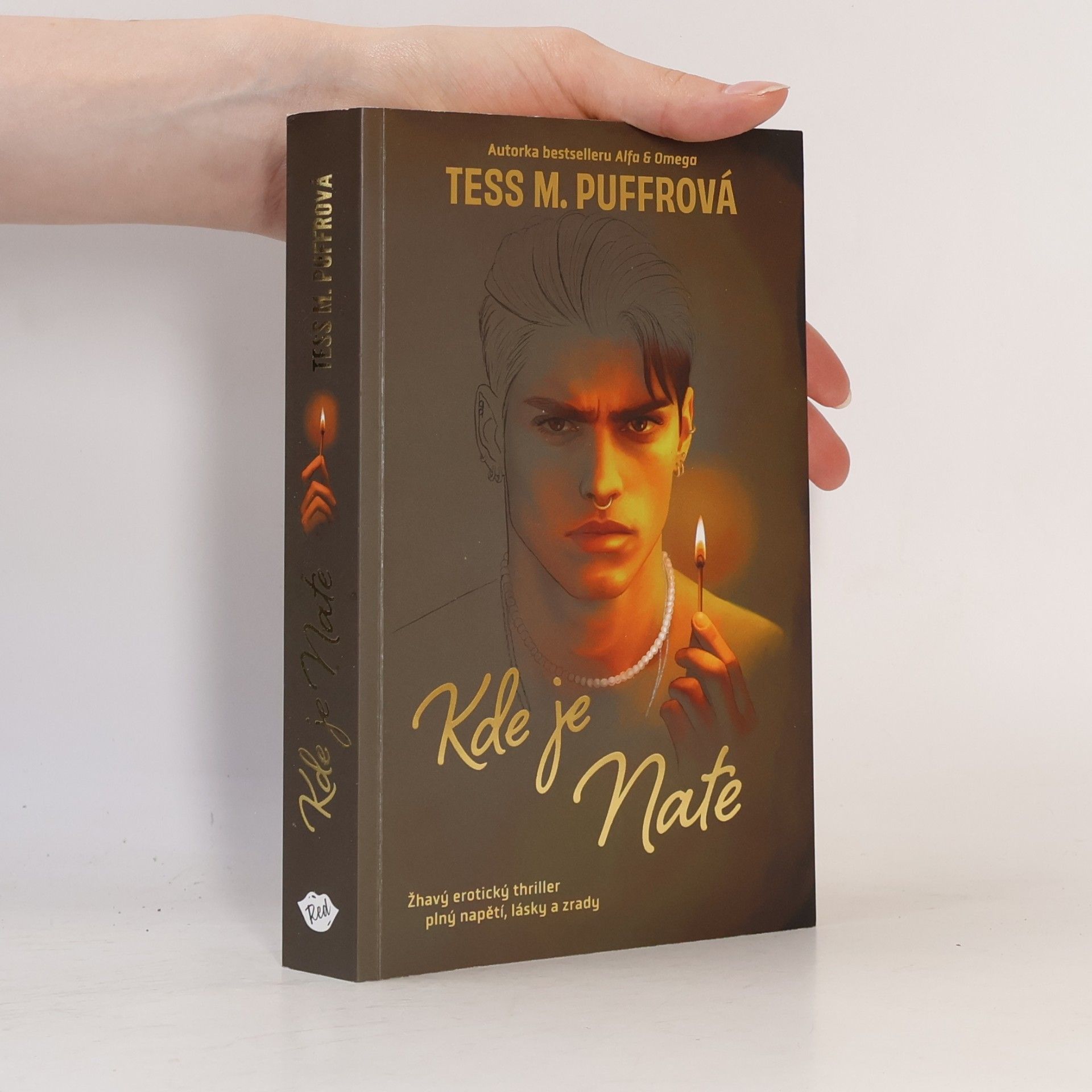 Tess M. Puffrová Kde je Nate