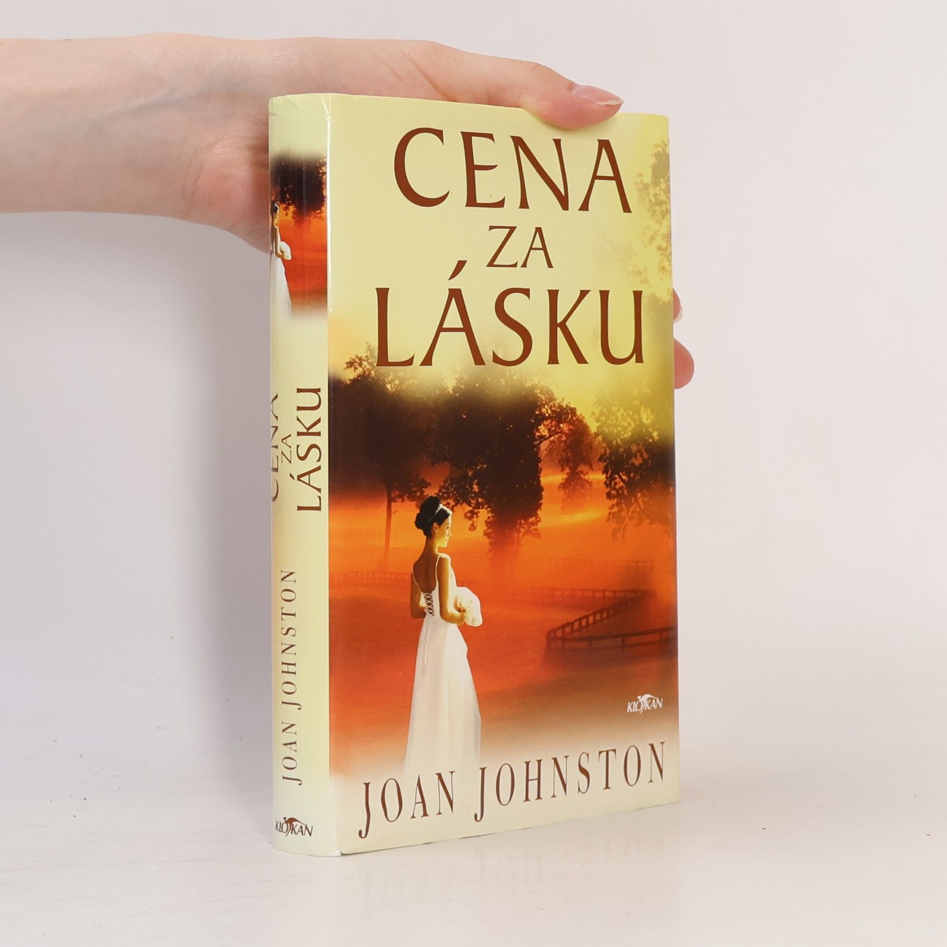 Joan Johnston Cena za lásku