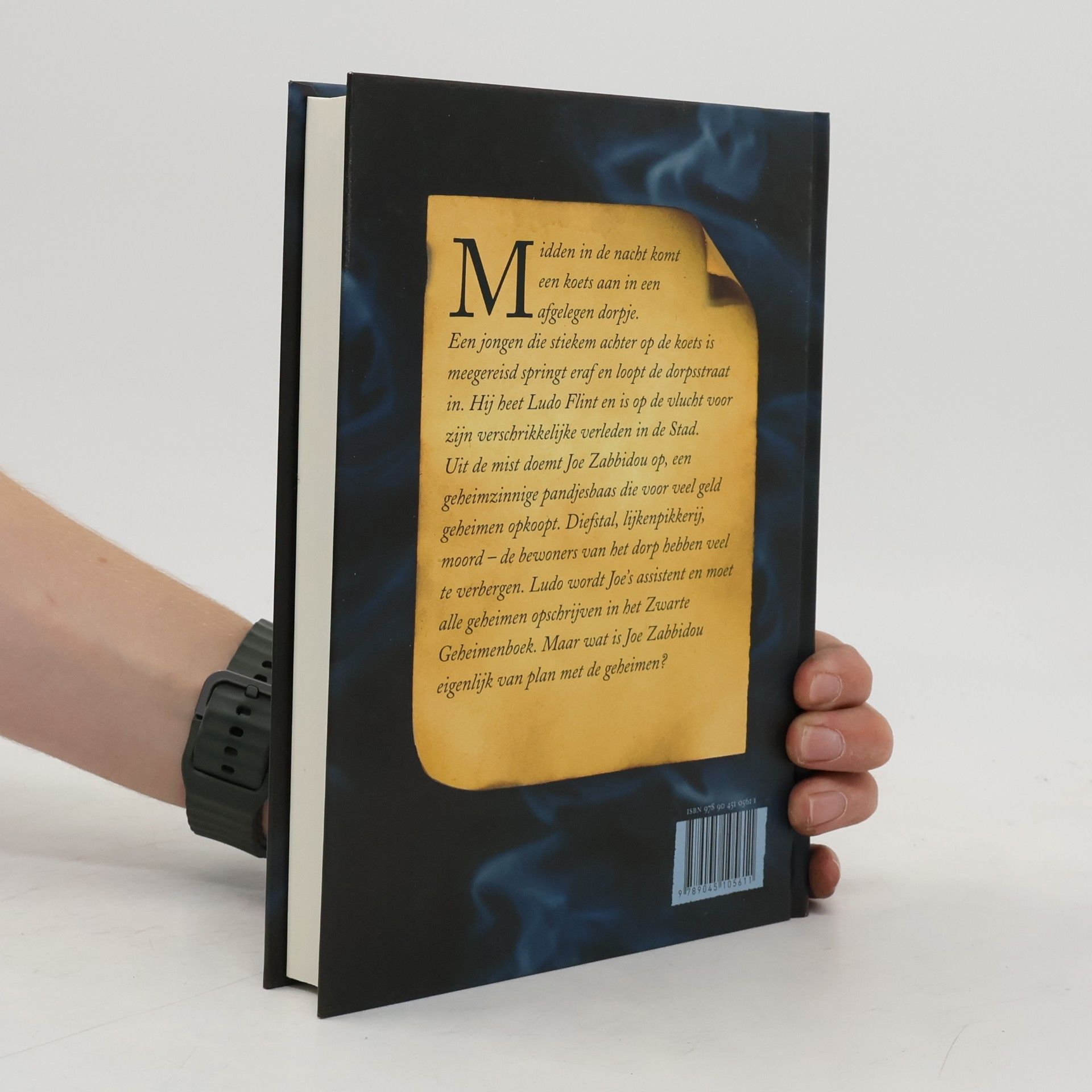 Fiona Higgins Het zwarte geheimenboek