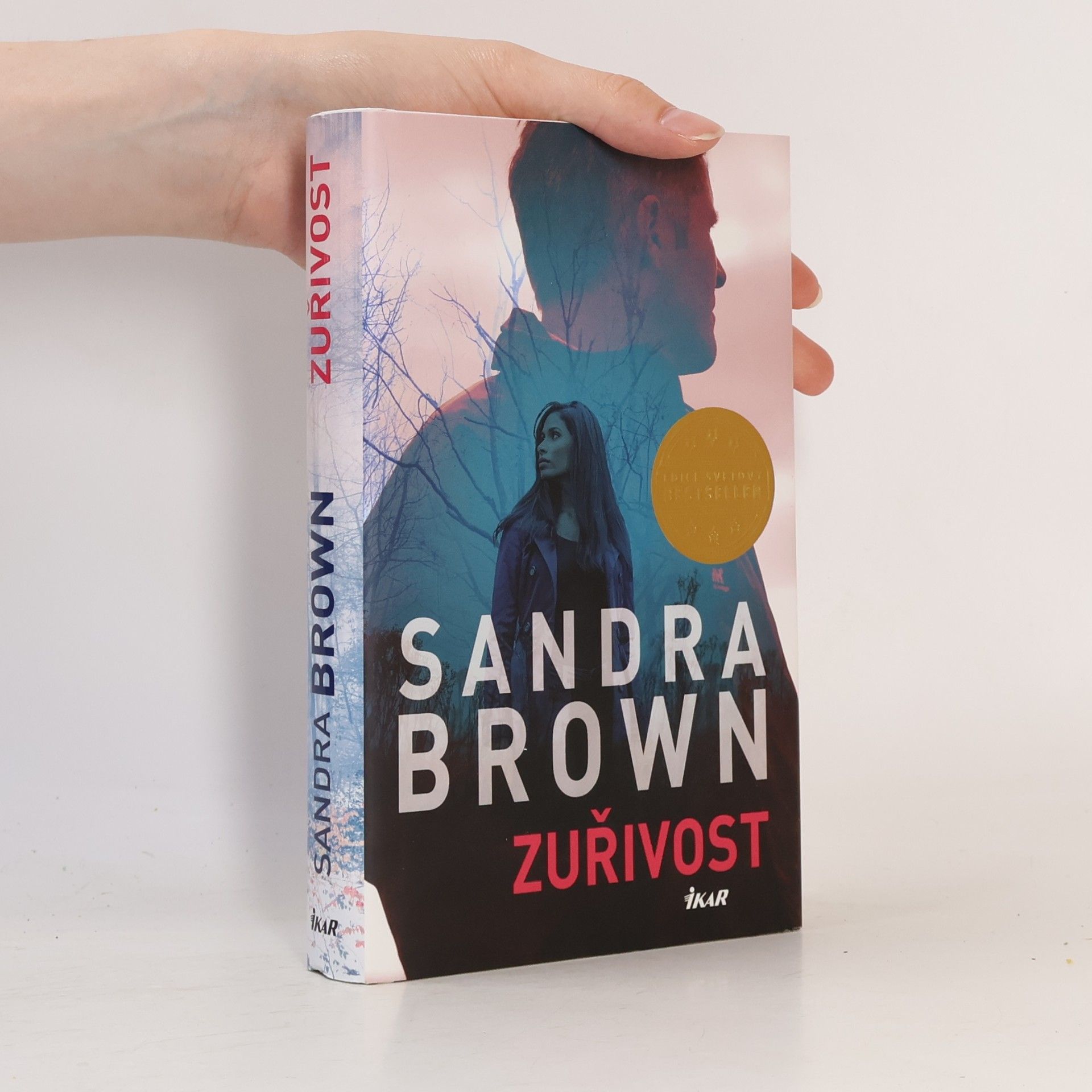Sandra Brown Zuřivost