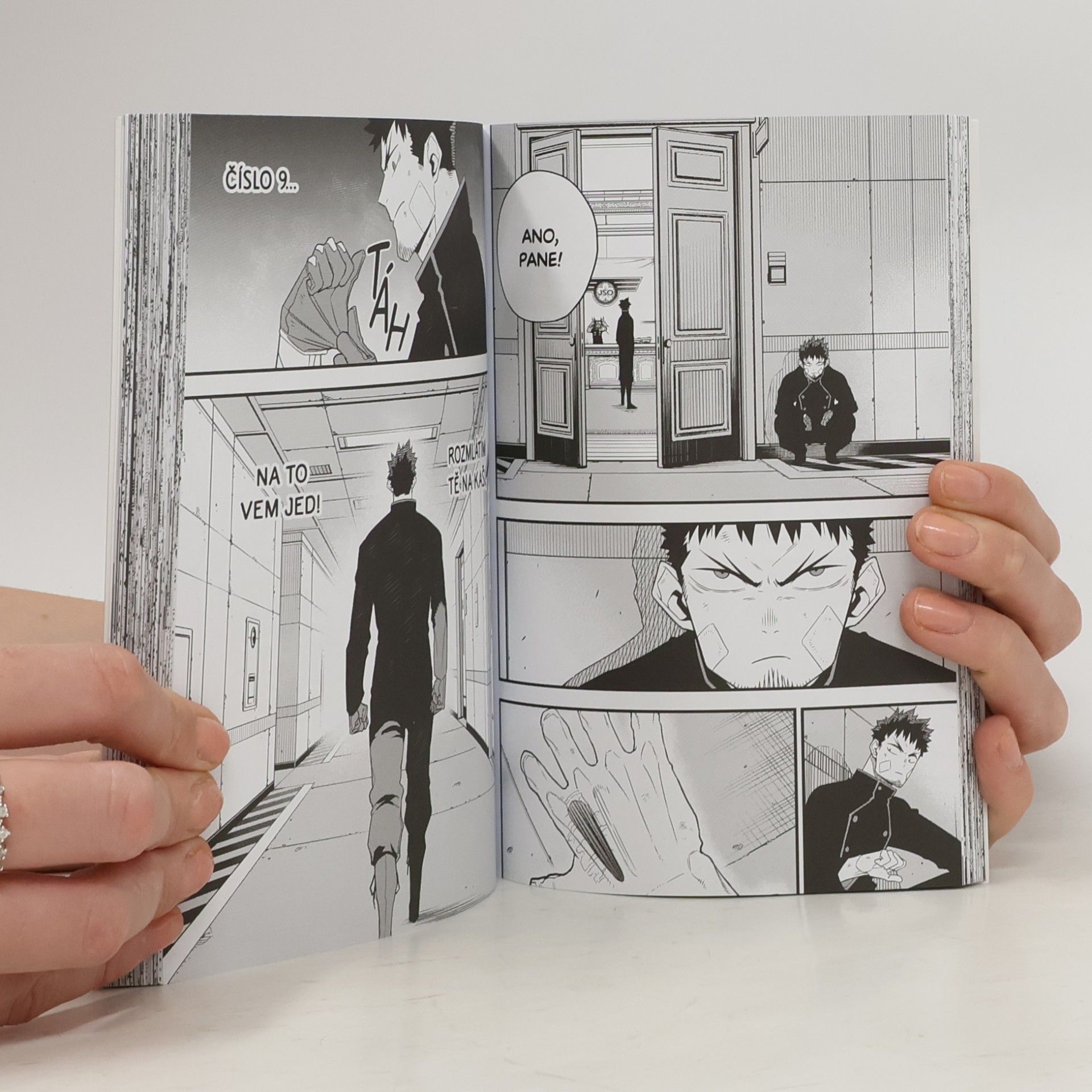 Naoya Matsumoto Kaidžú 7. Nestvůra č. 8.