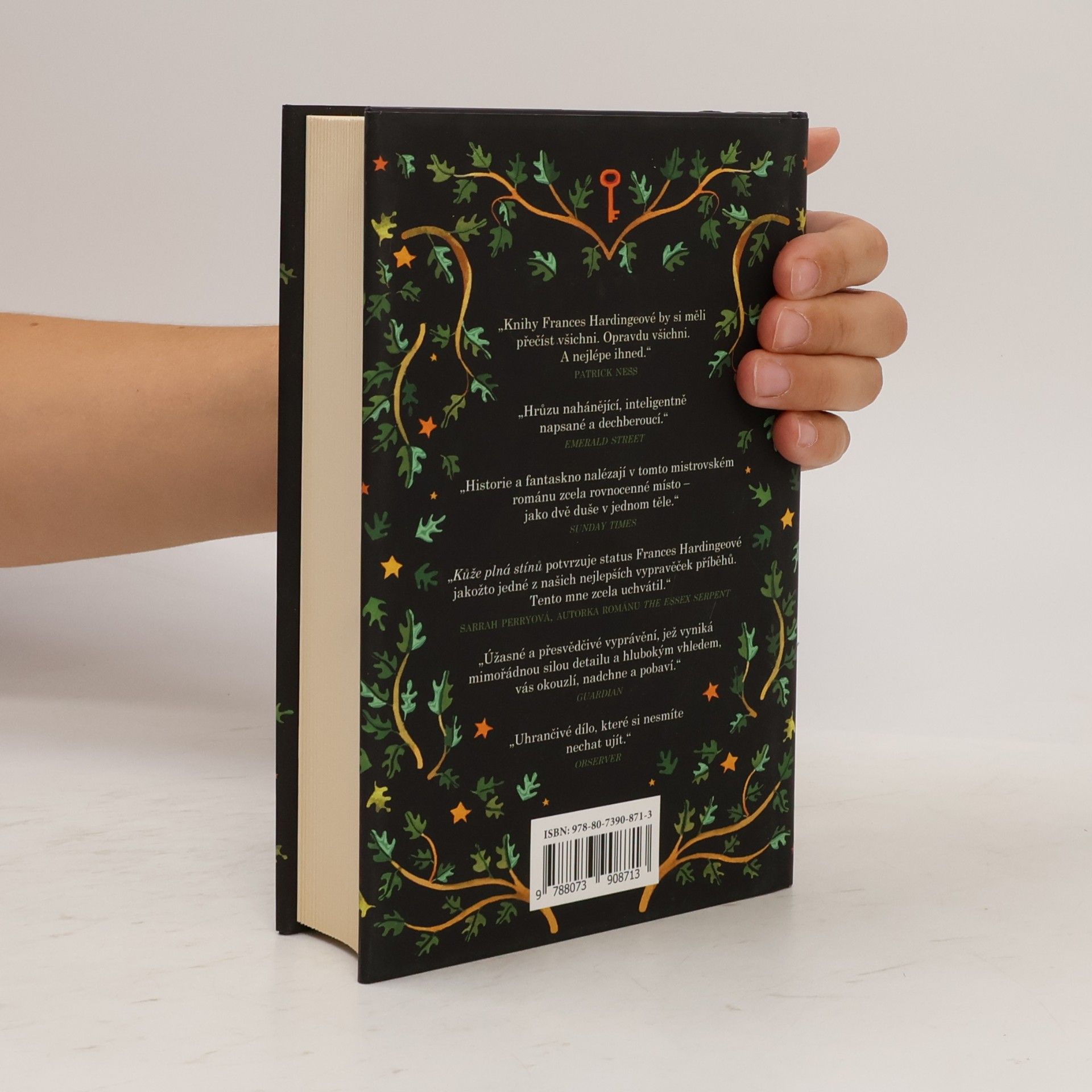Frances Hardinge Kůže plná stínů