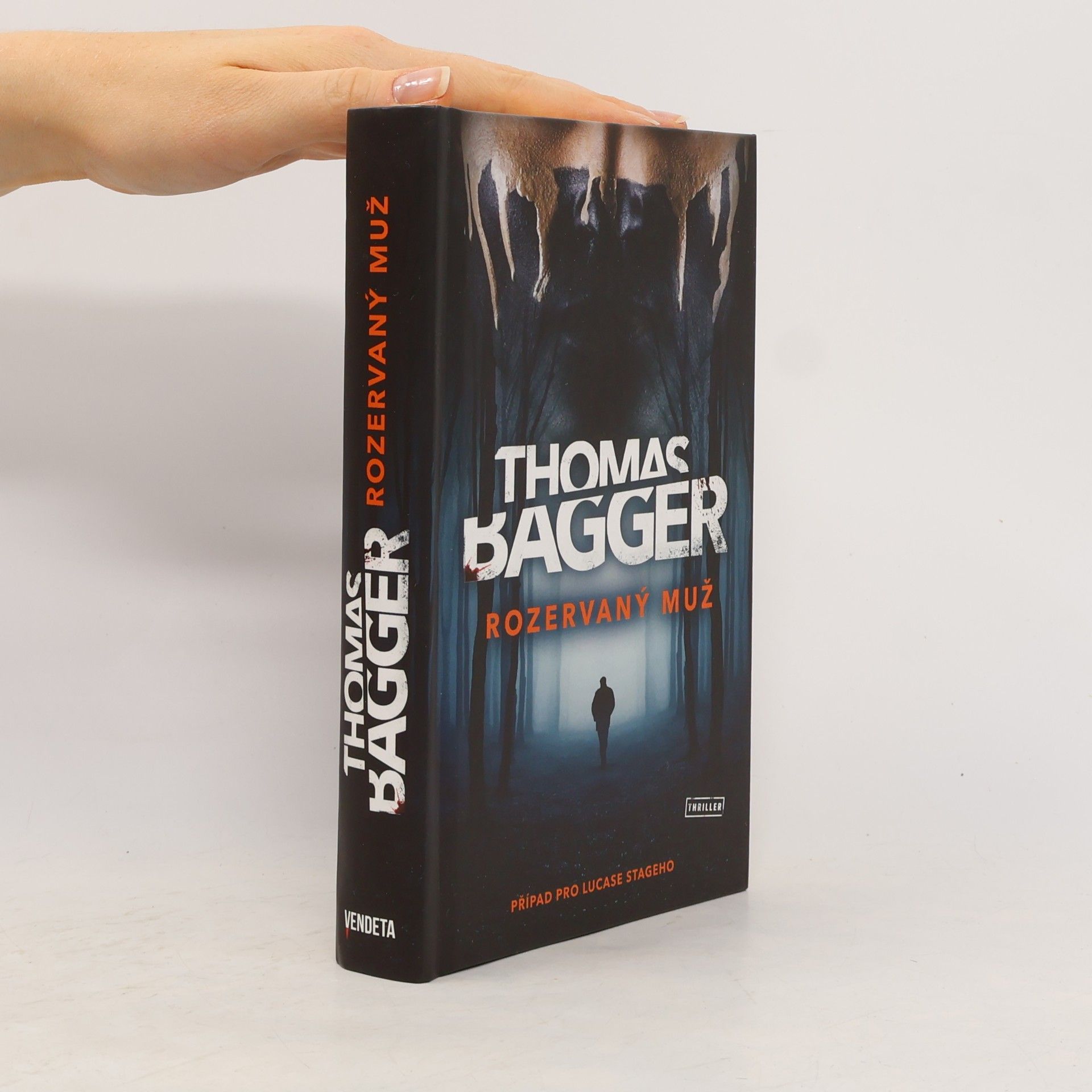 Thomas Bagger Rozervaný muž