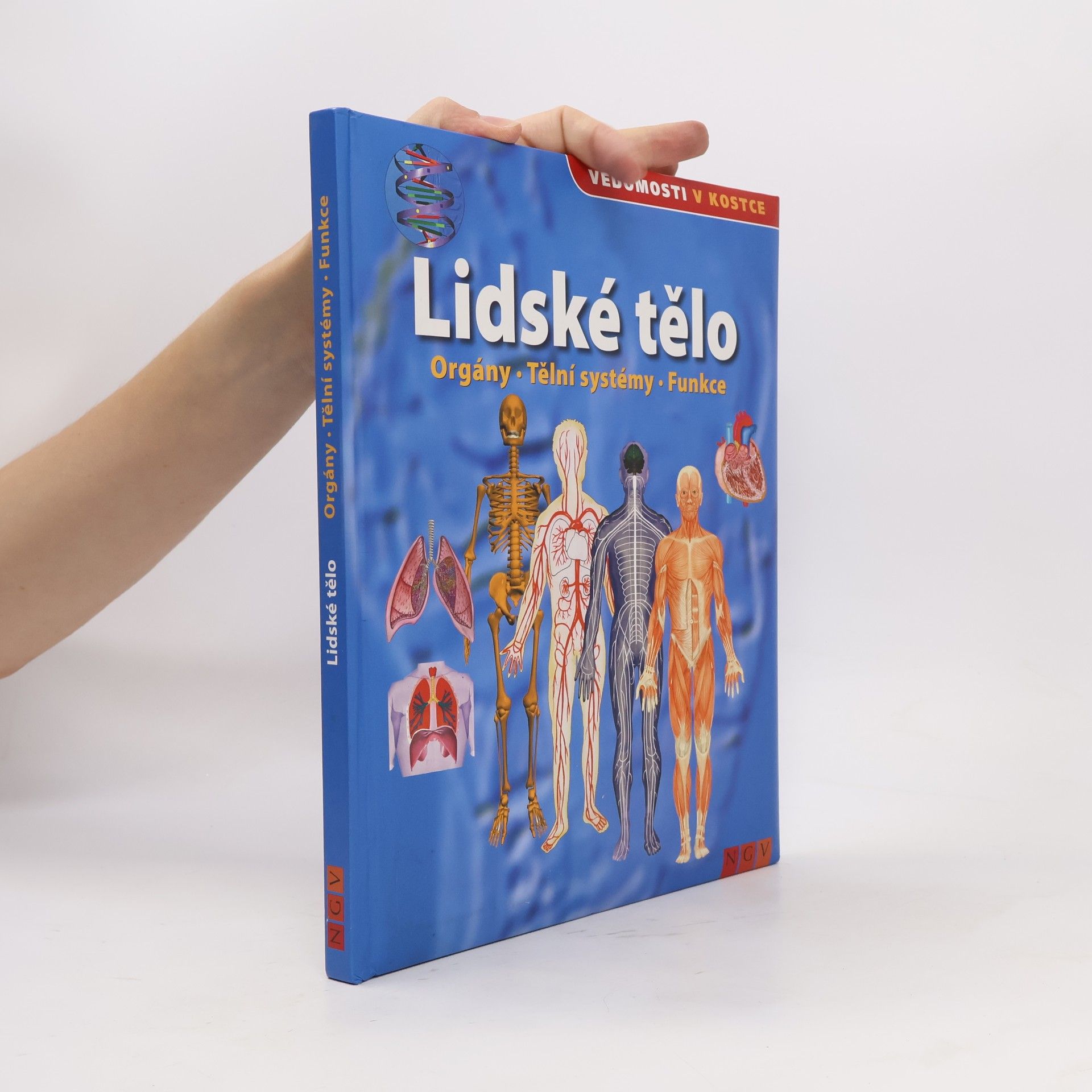 Collectif d'auteurs Lidské tělo. Orgány. Tělní systémy. Funkce