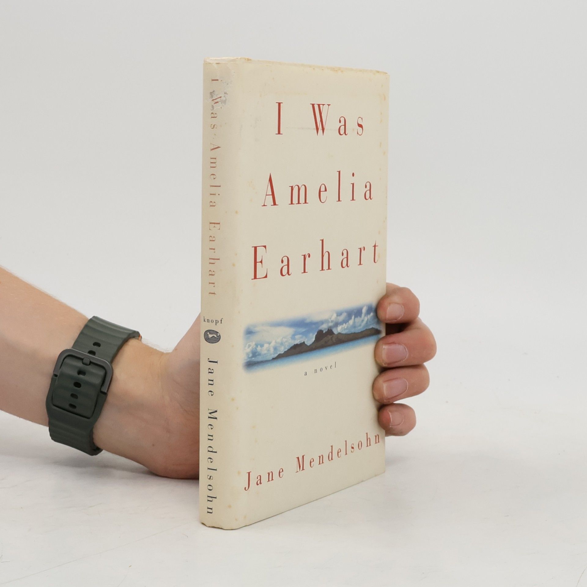 Jane Mendelsohn I WAS AMELIA EARHART.